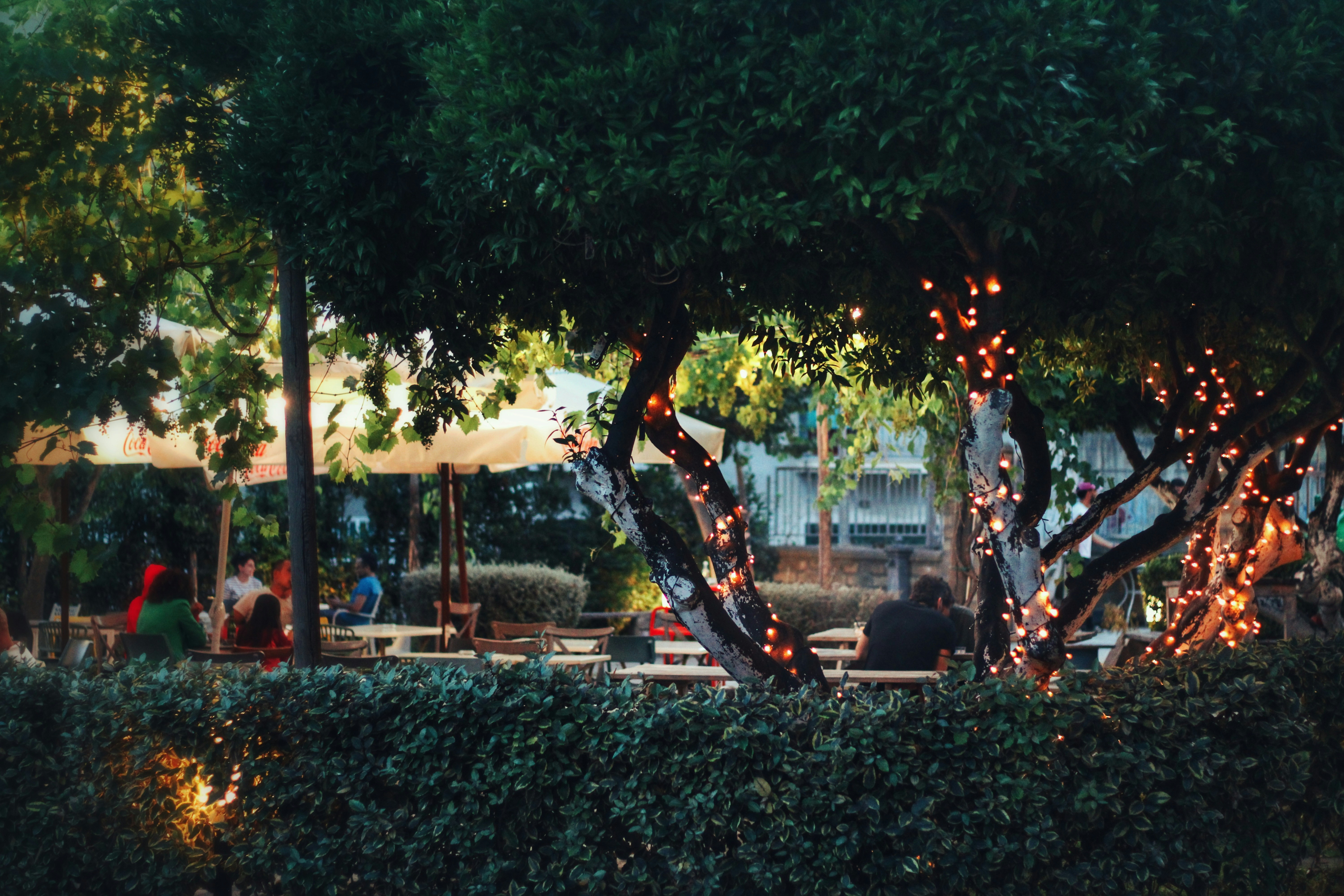 Photo by valeographia