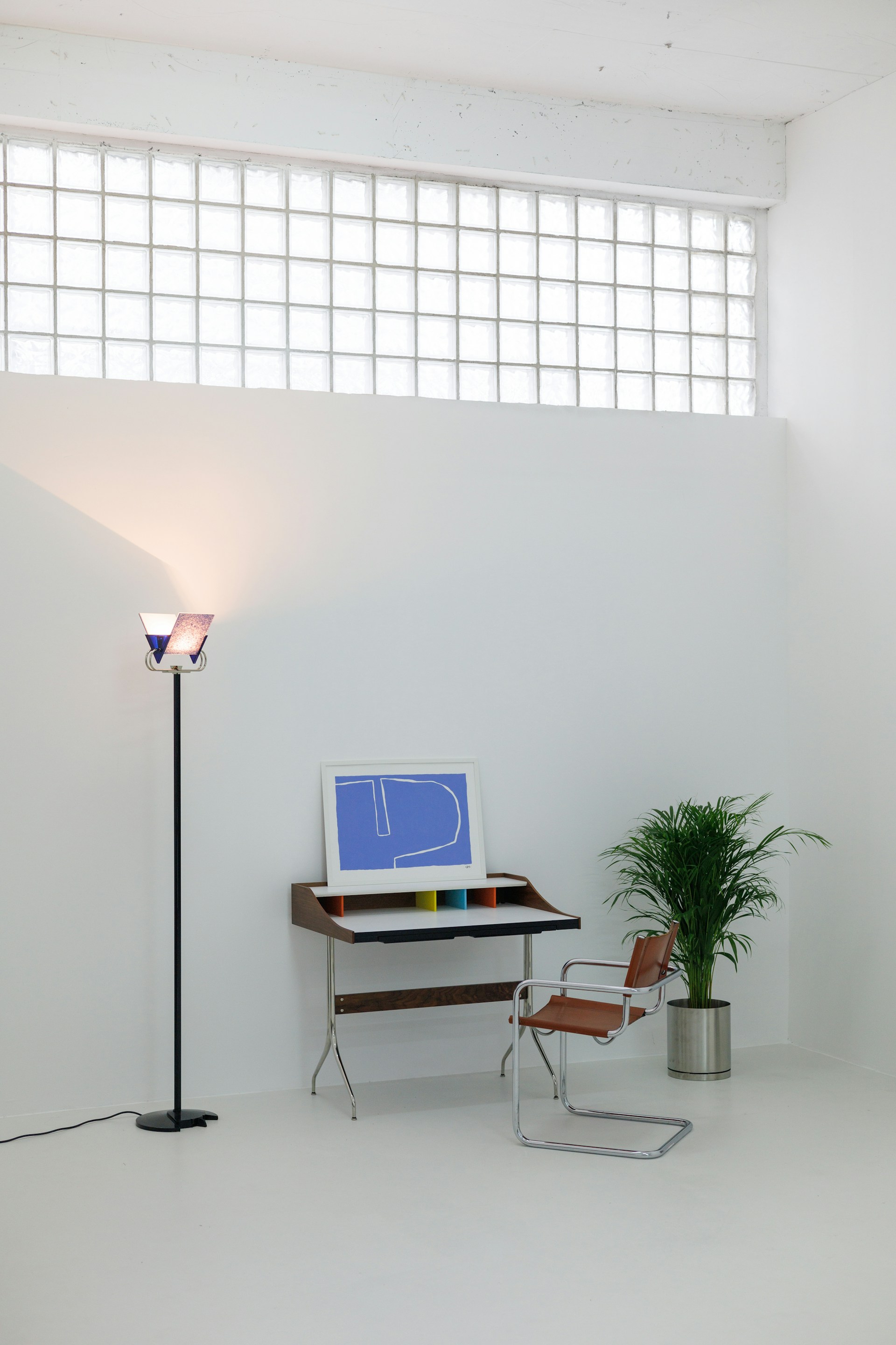 A white room with a computer and a plant