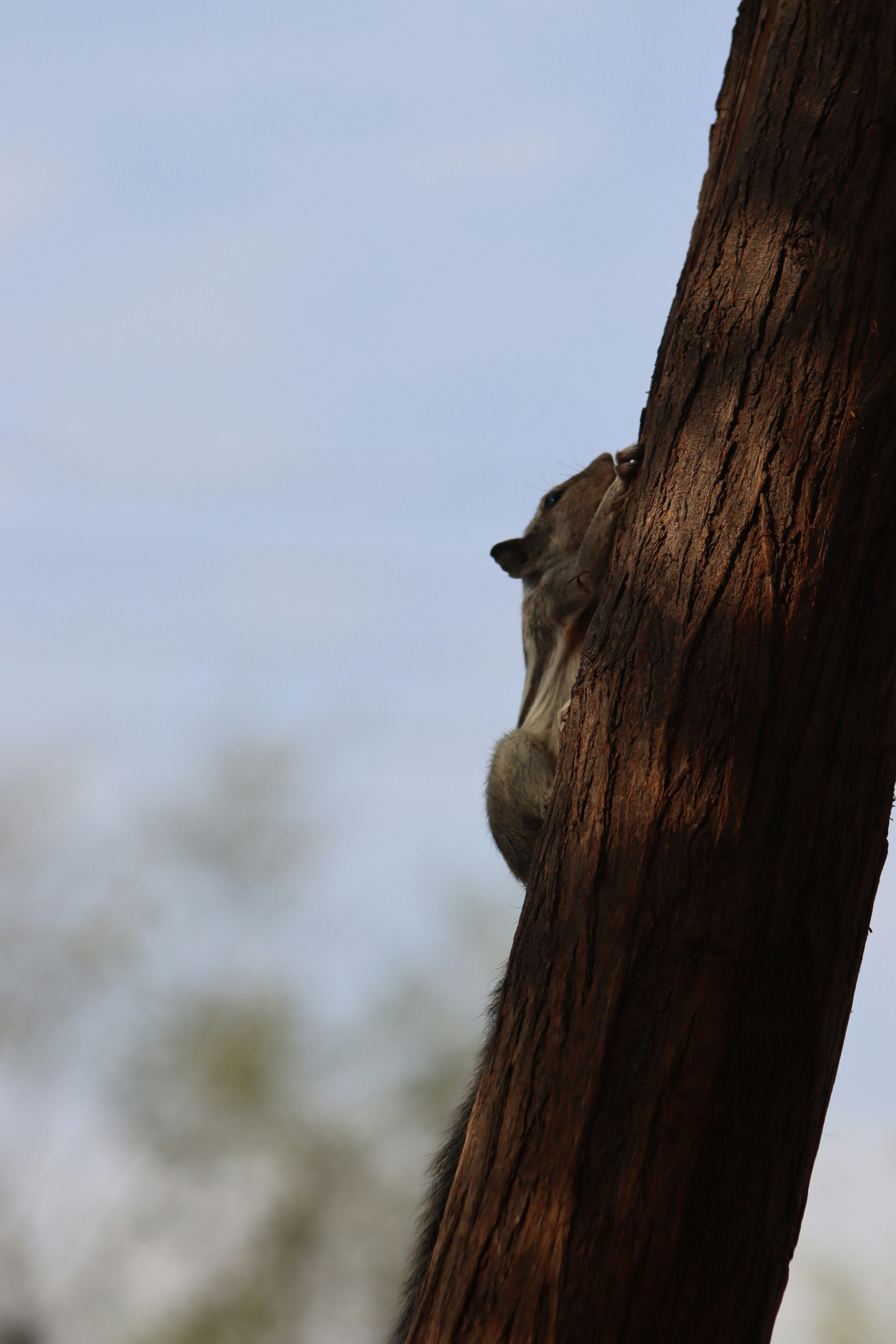 Photo by drphotographer152