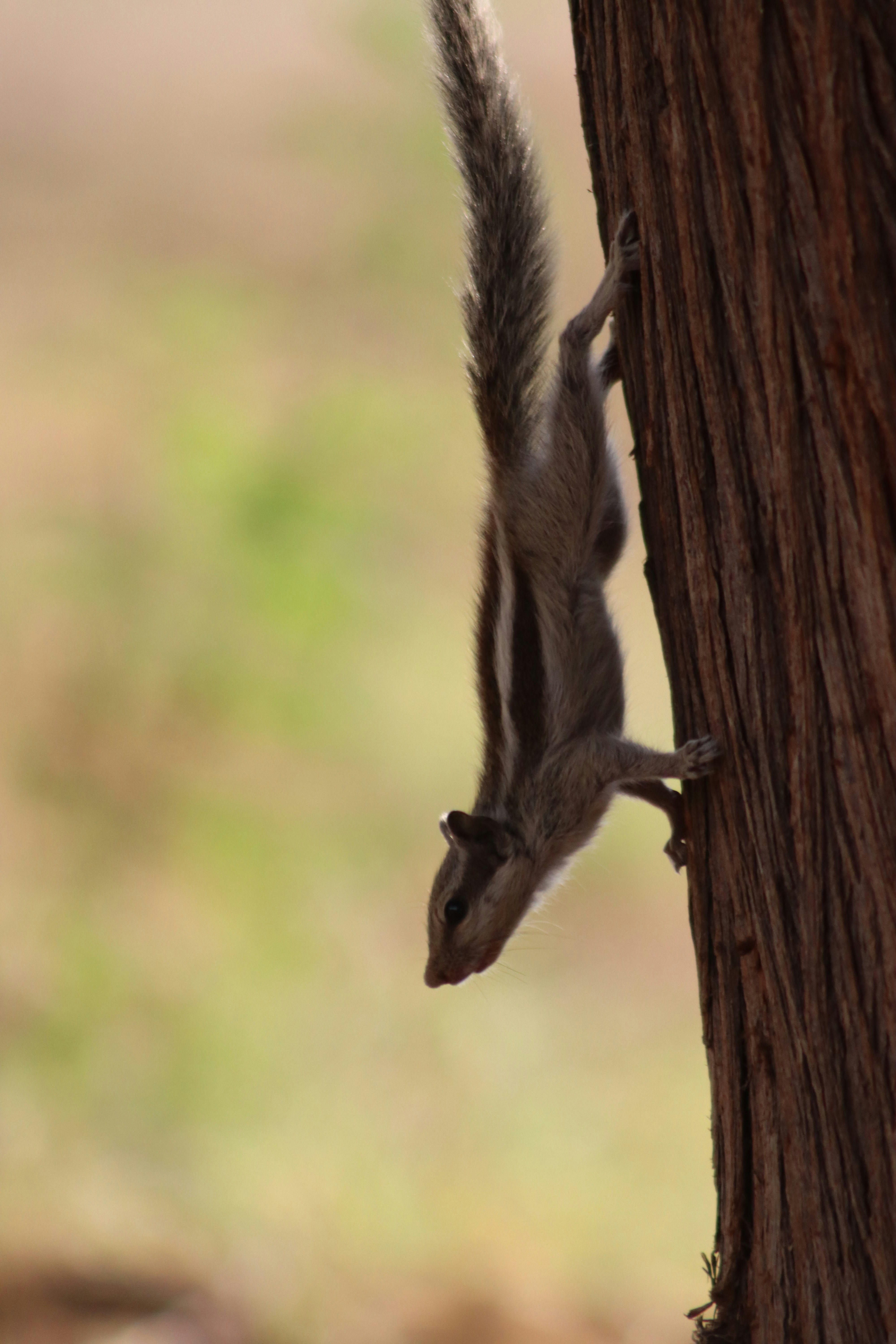 Photo by drphotographer152