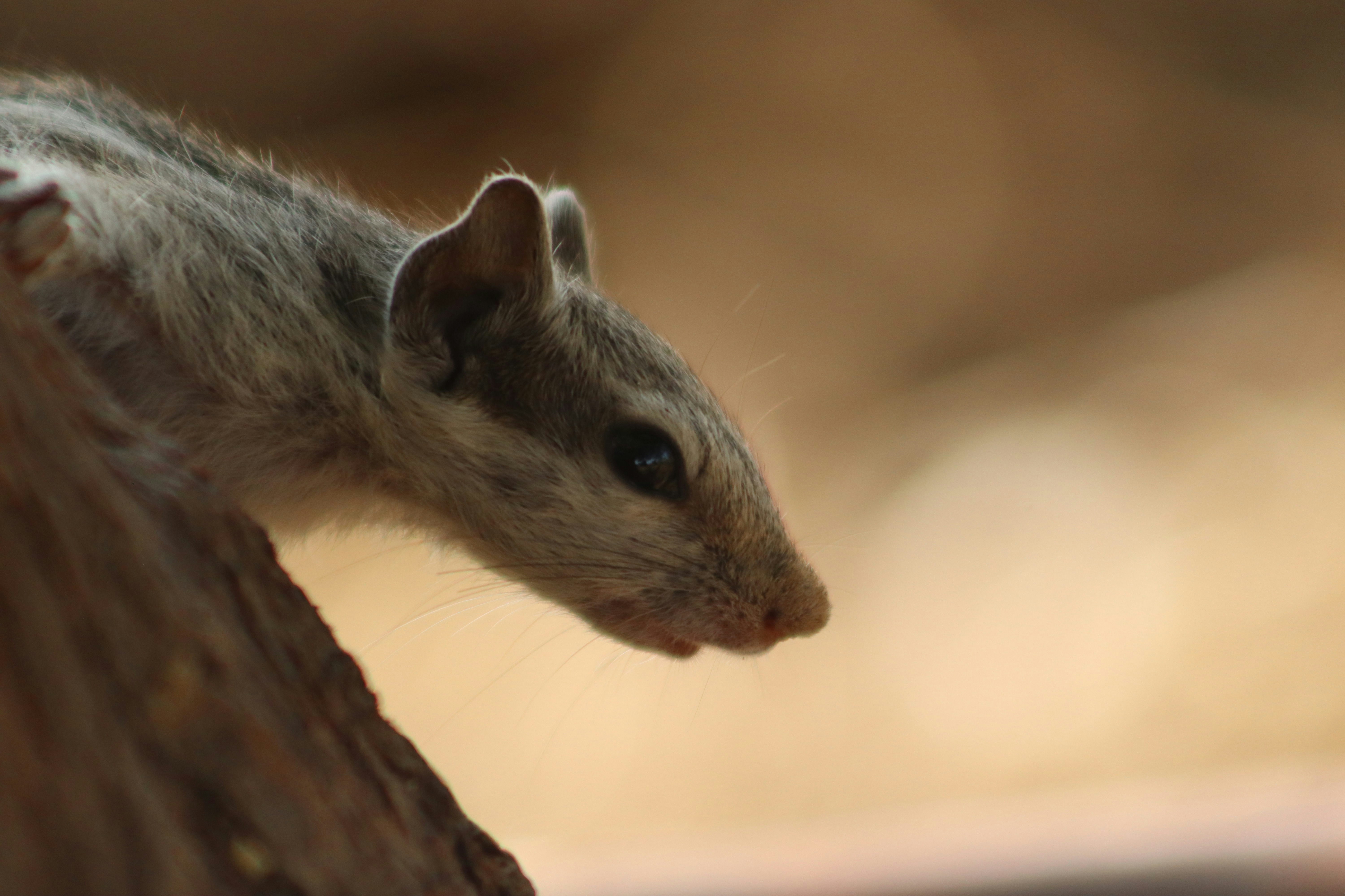 Photo by drphotographer152