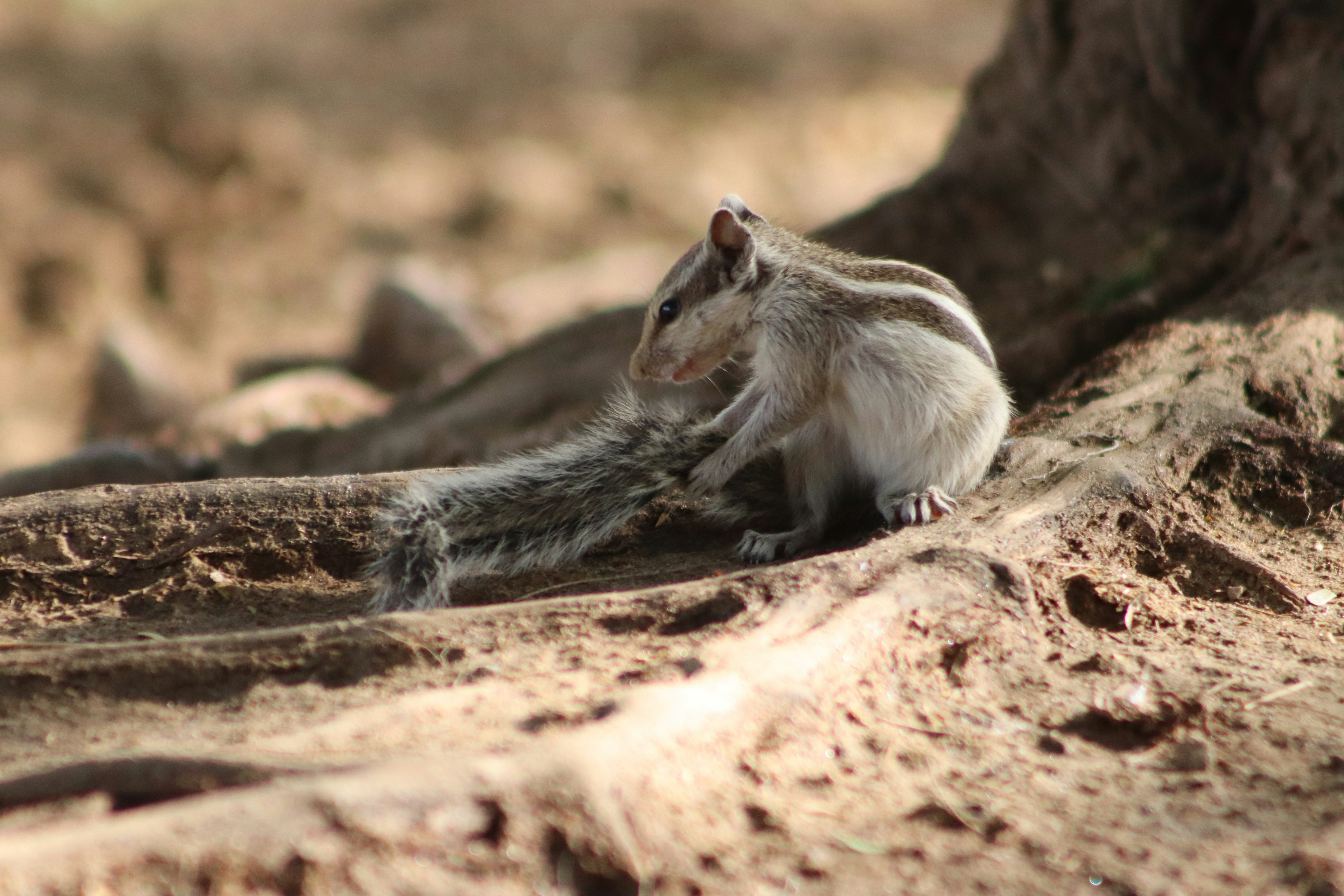 Photo by drphotographer152