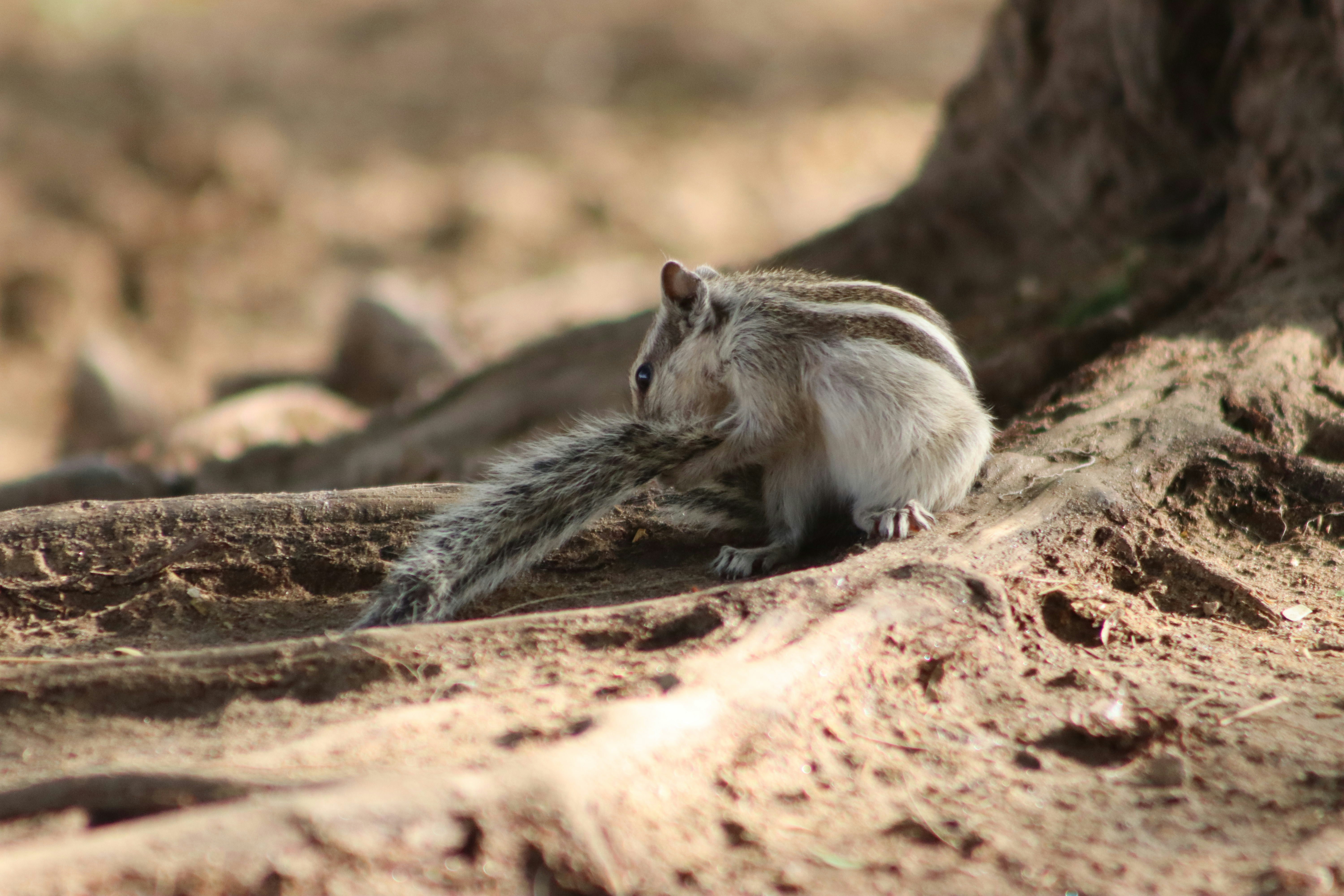 Photo by drphotographer152