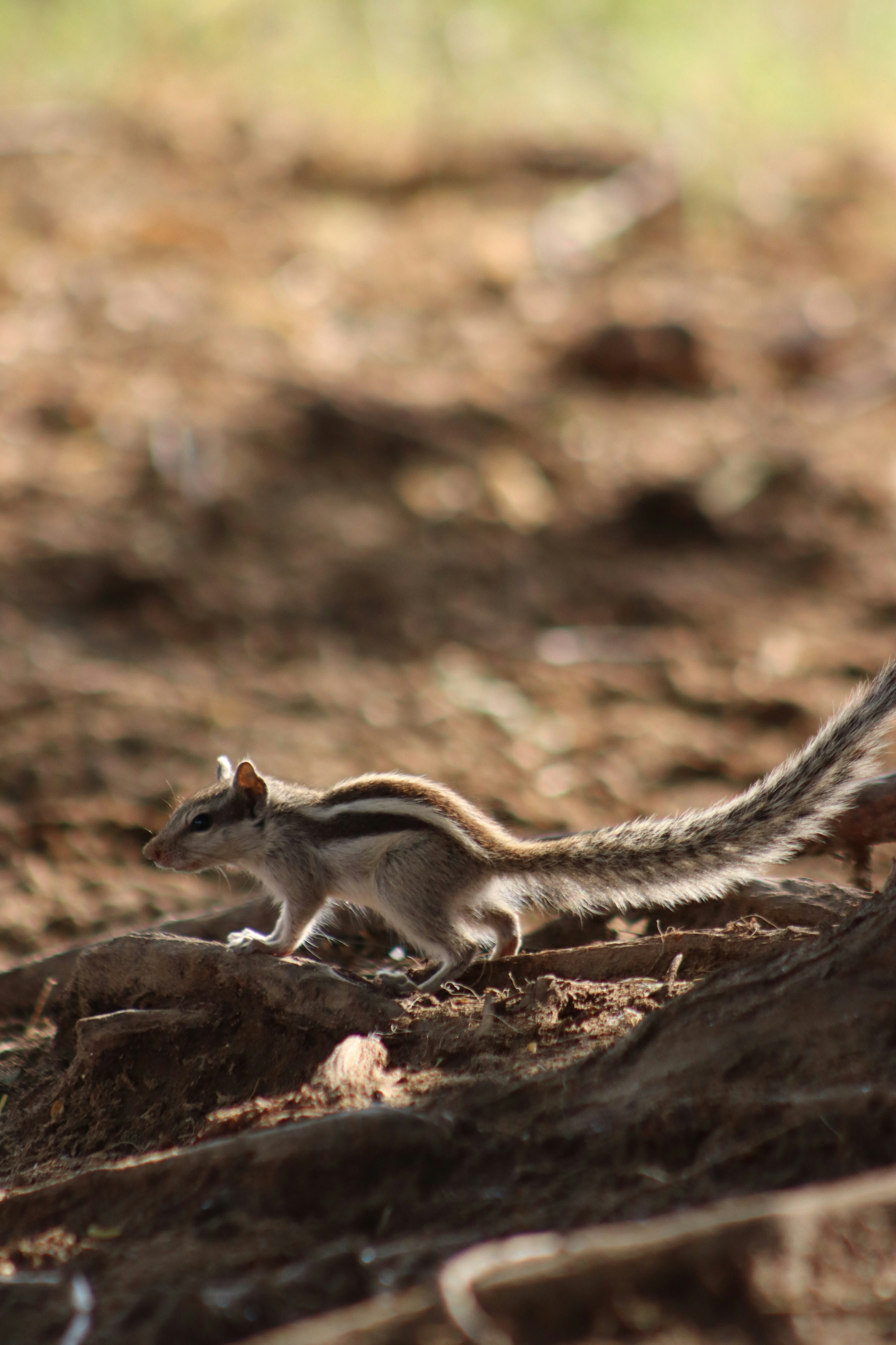 Photo by drphotographer152