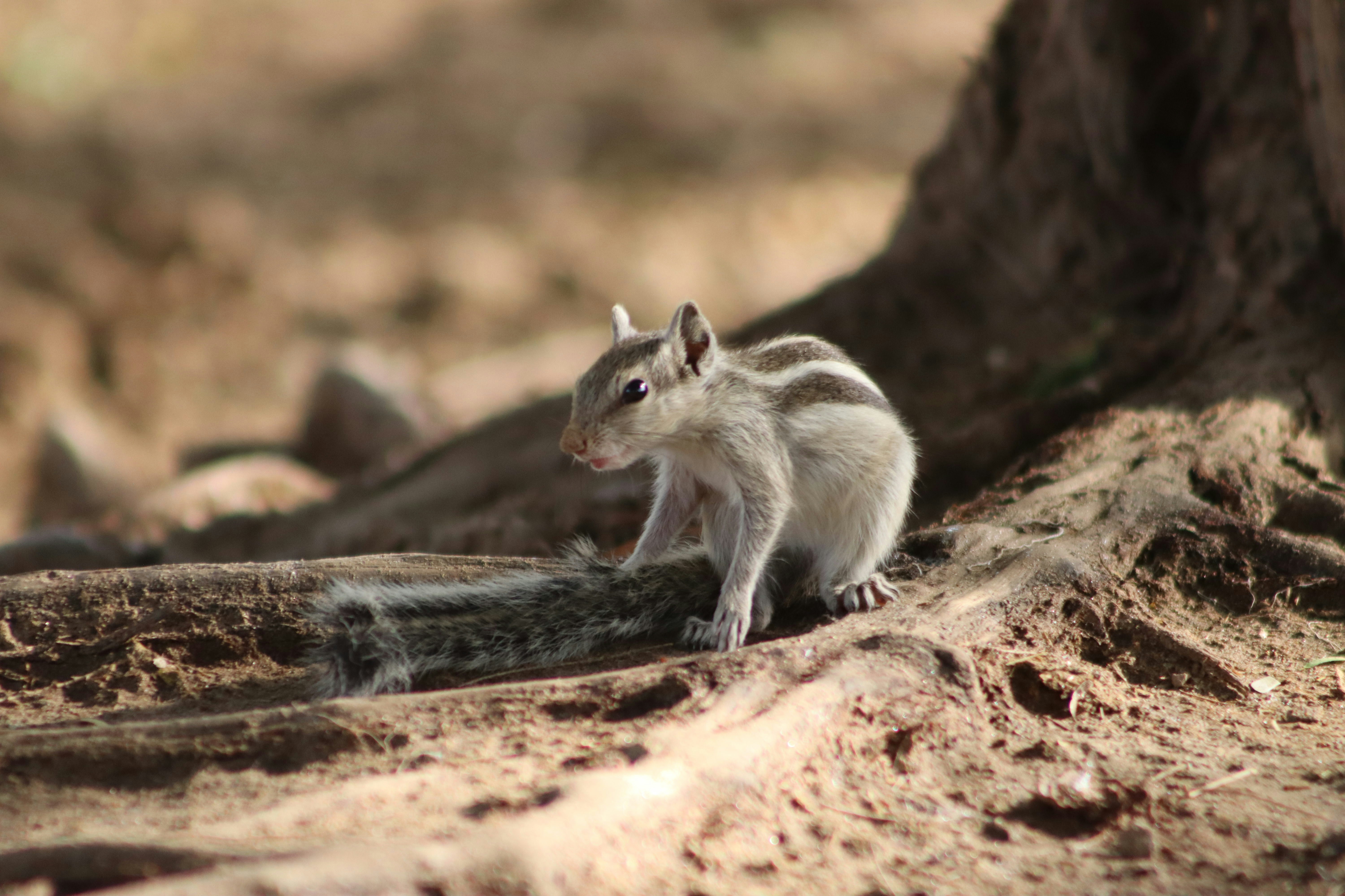 Photo by drphotographer152