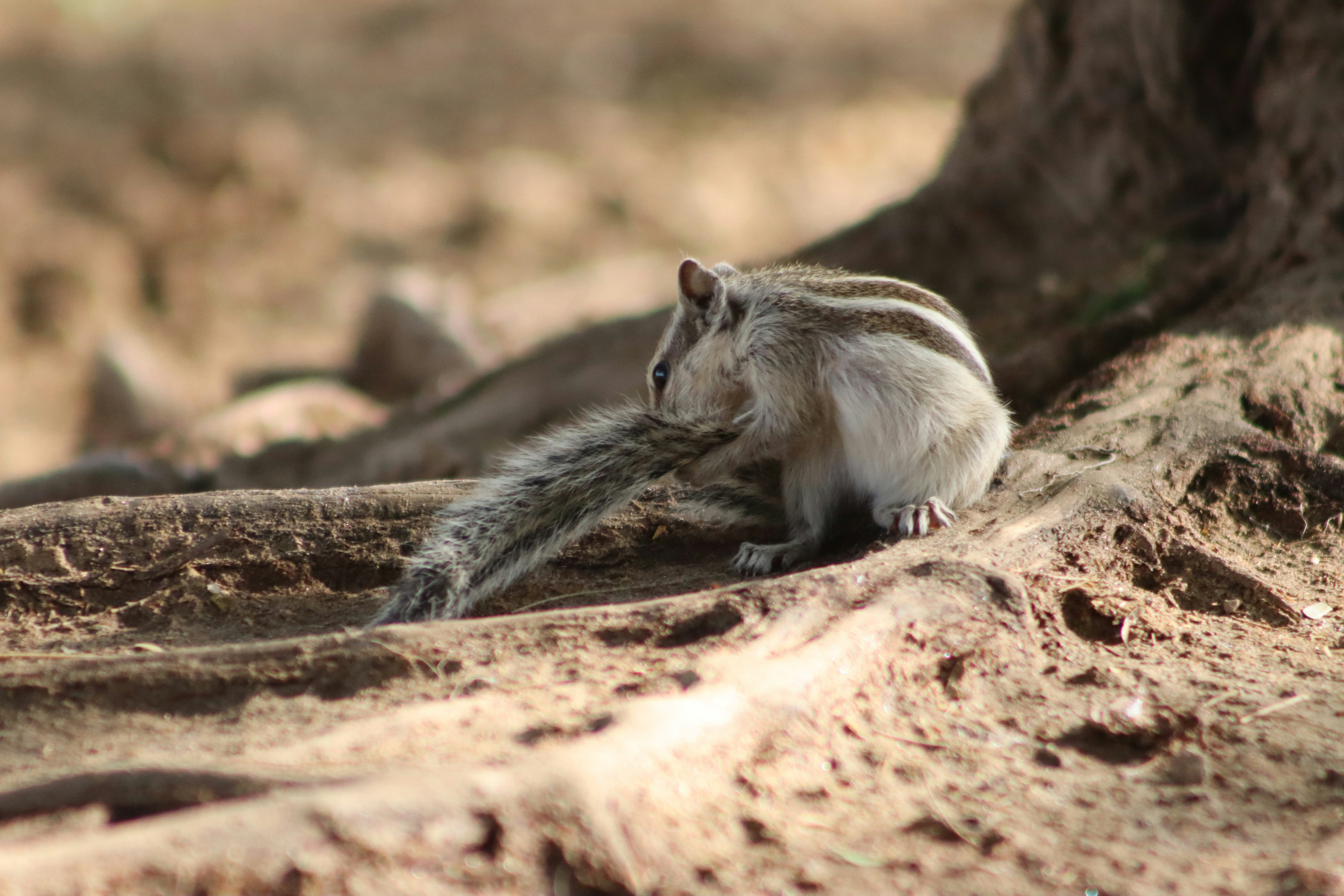 Photo by drphotographer152