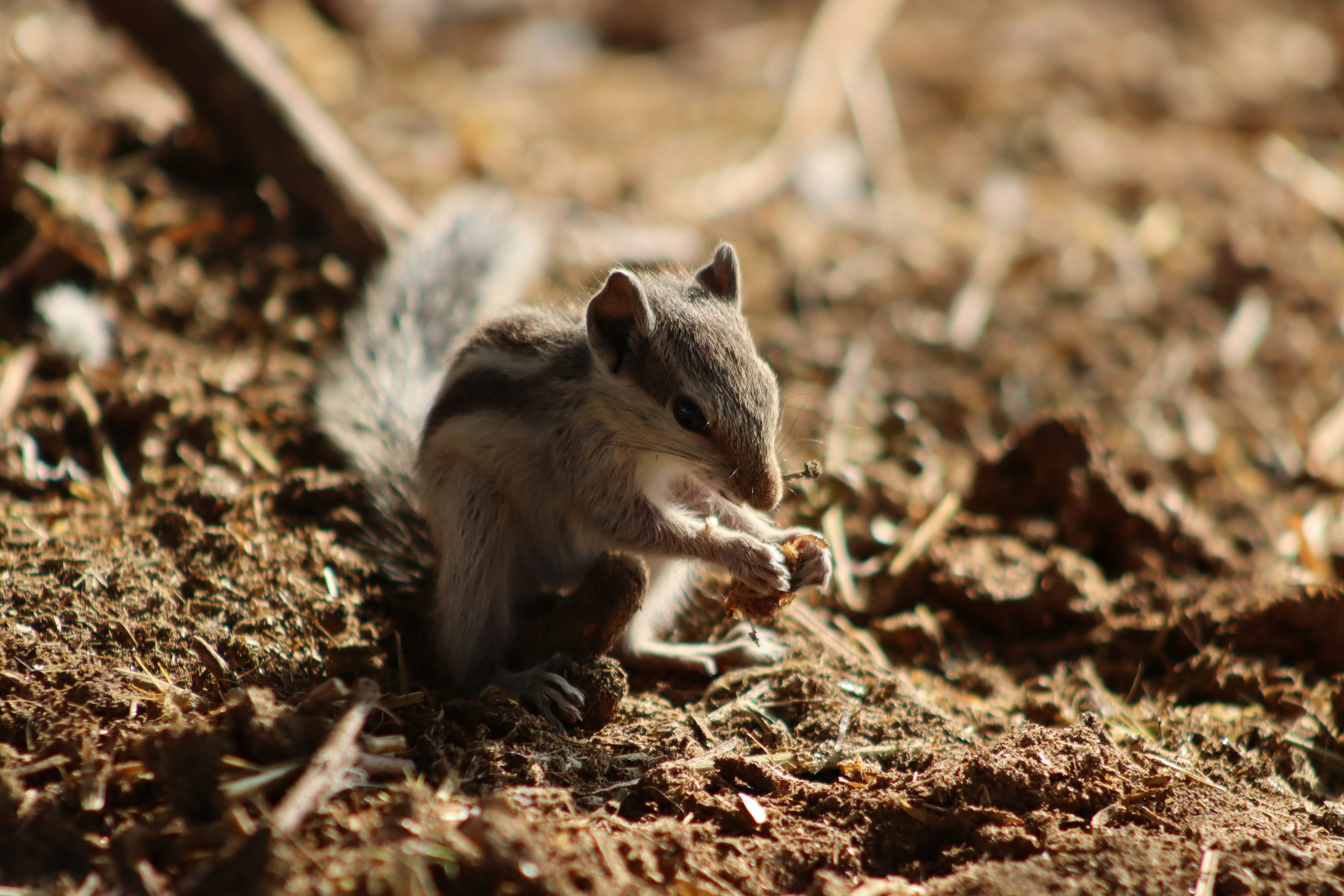 Photo by drphotographer152