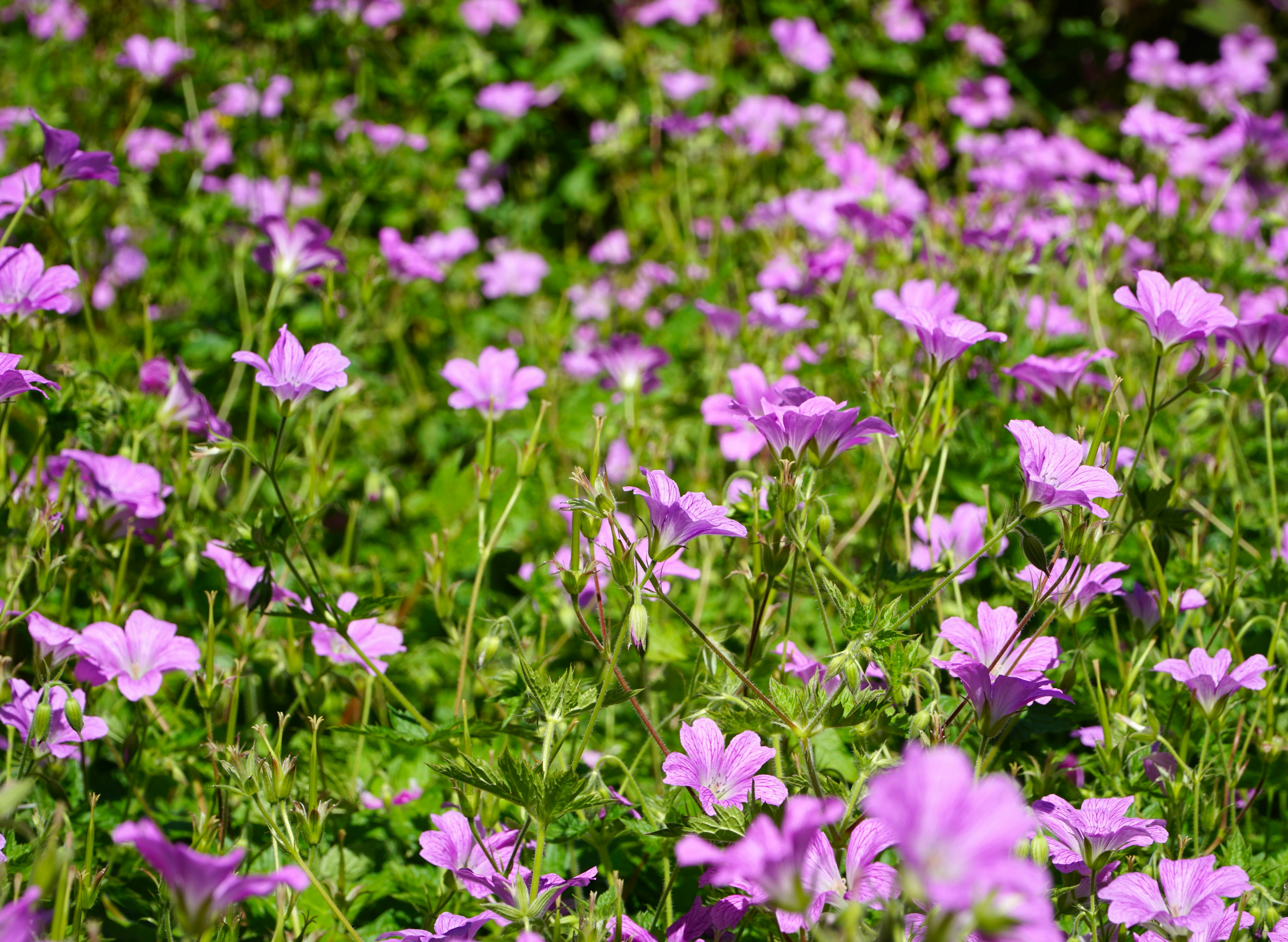 Photo by mostlymarvelling