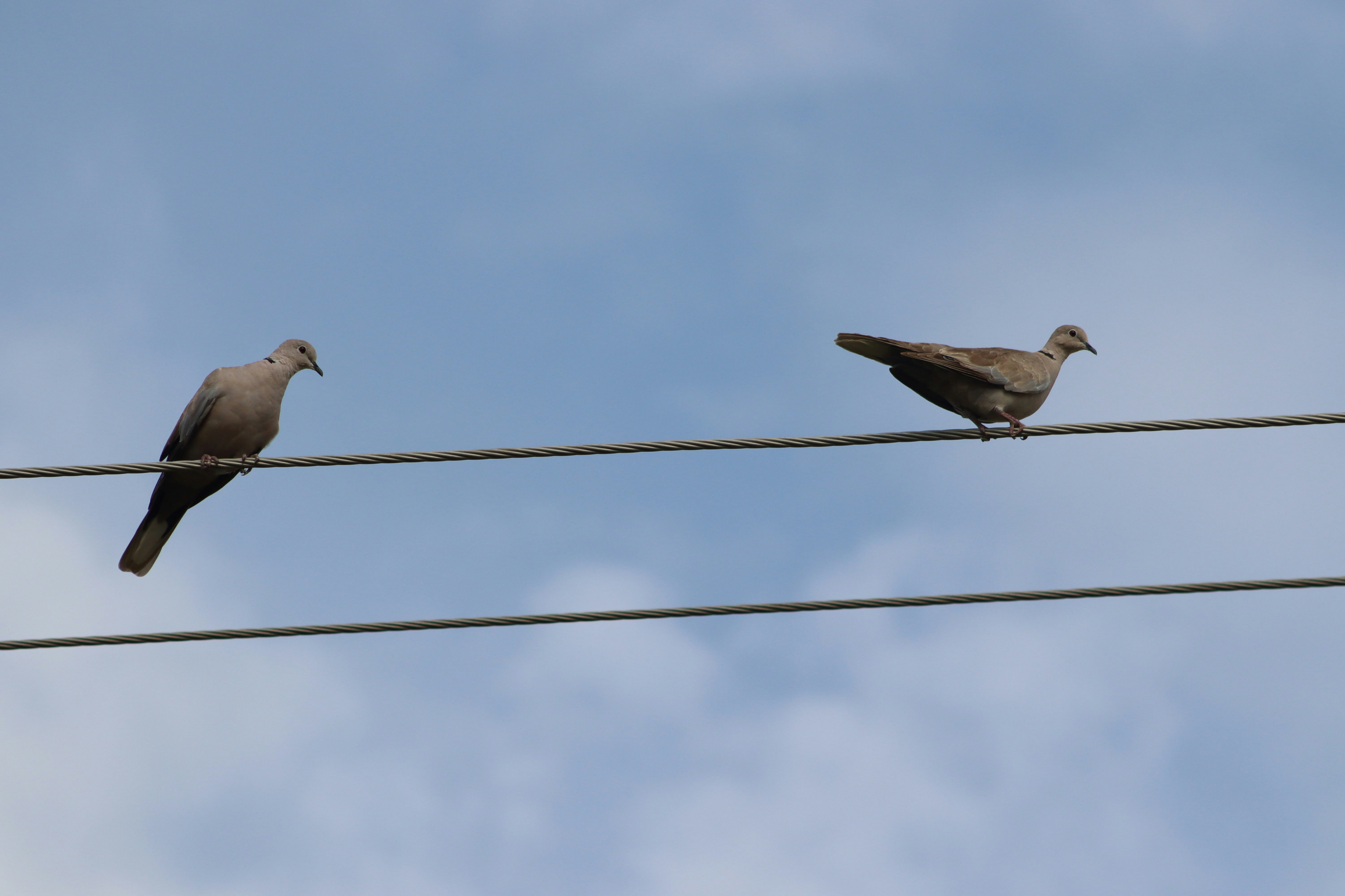 Photo by drphotographer152