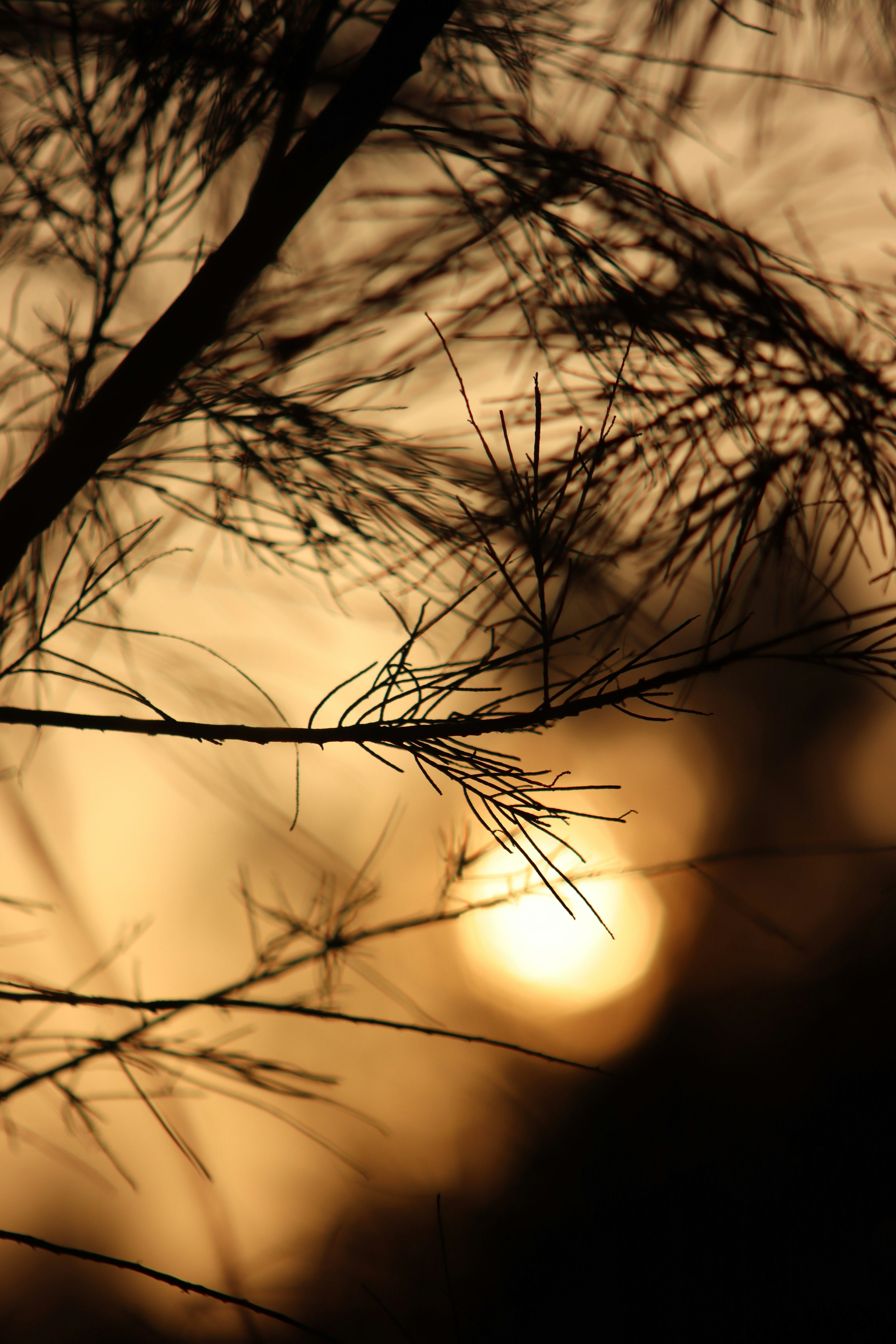 Photo by drphotographer152