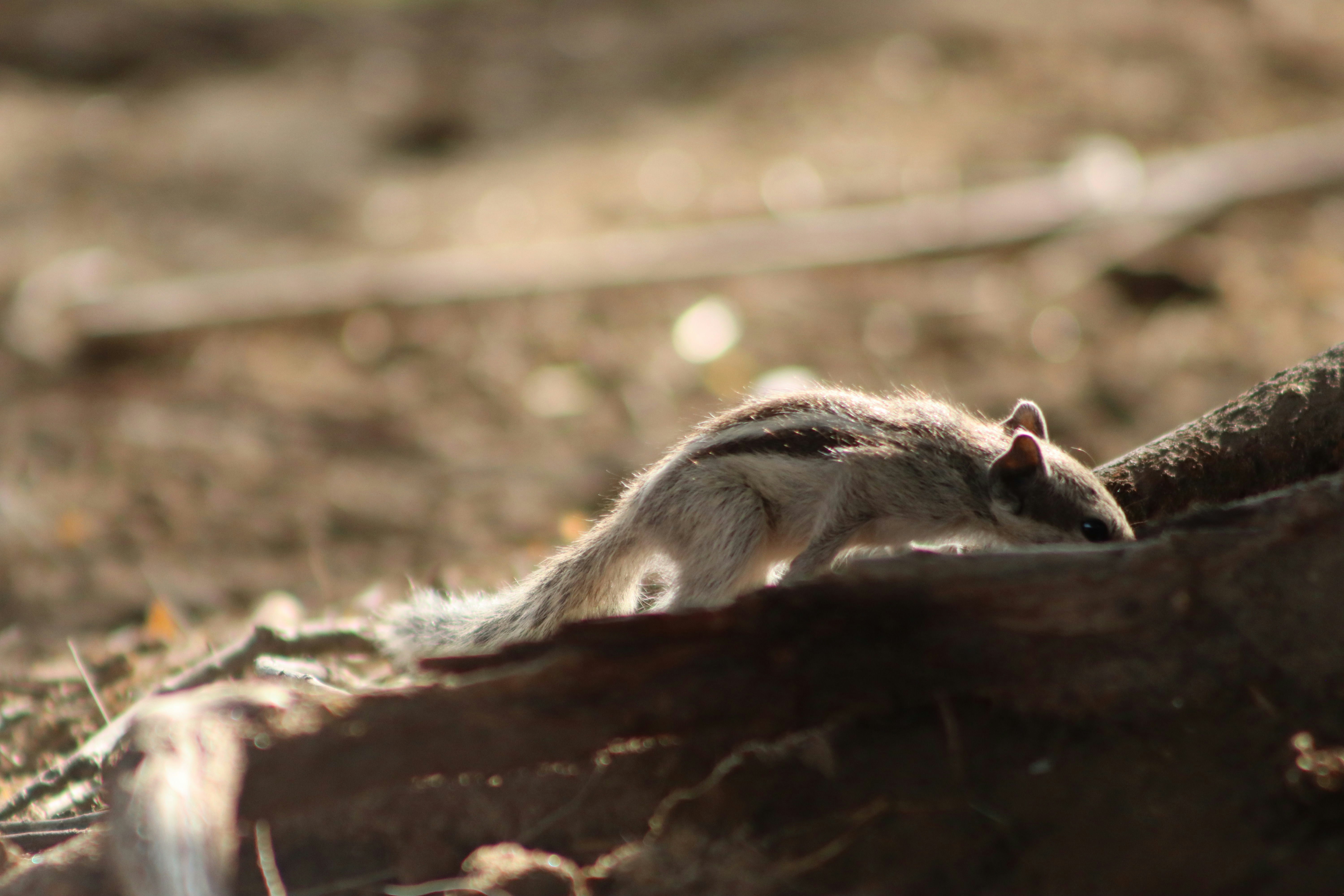 Photo by drphotographer152