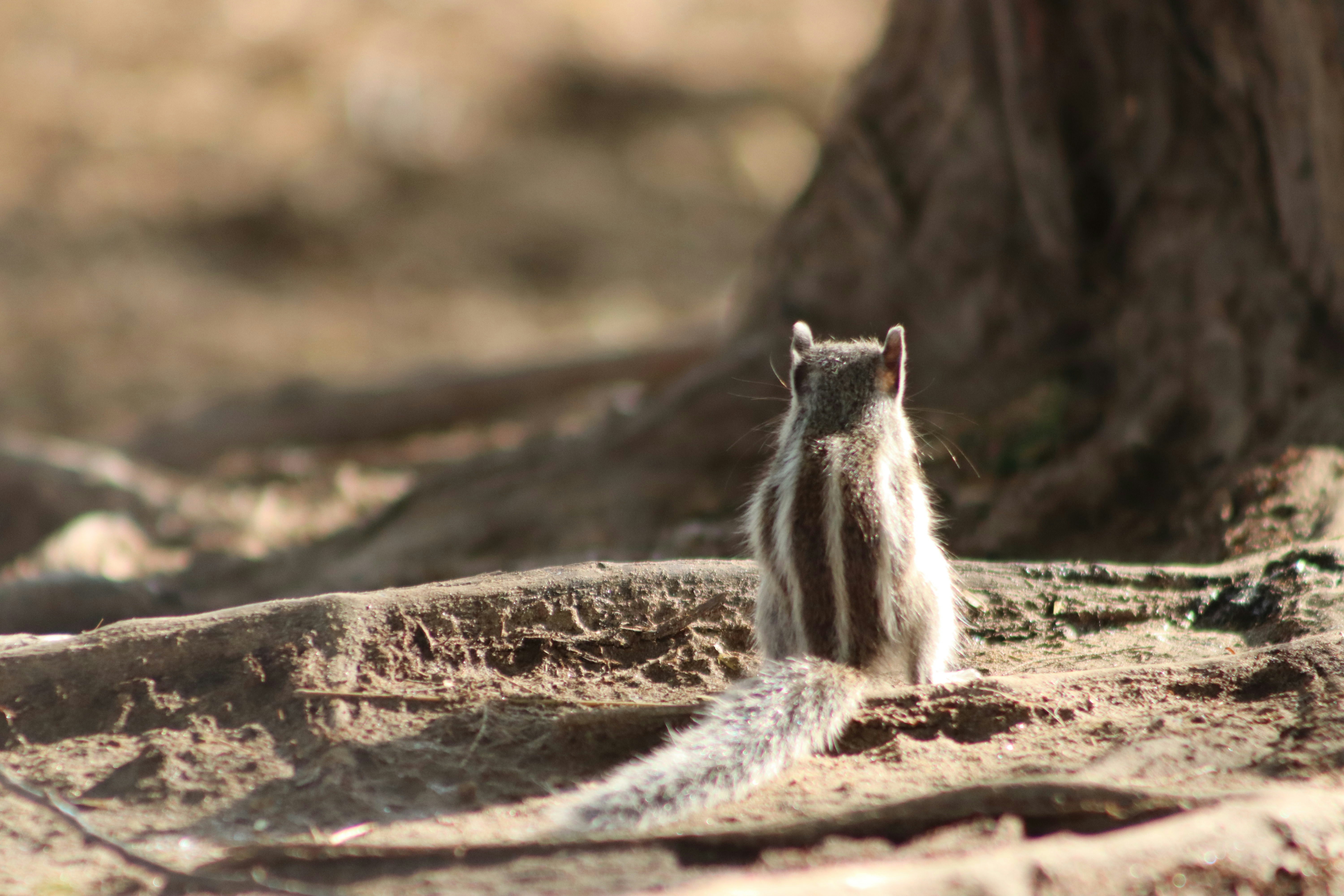 Photo by drphotographer152