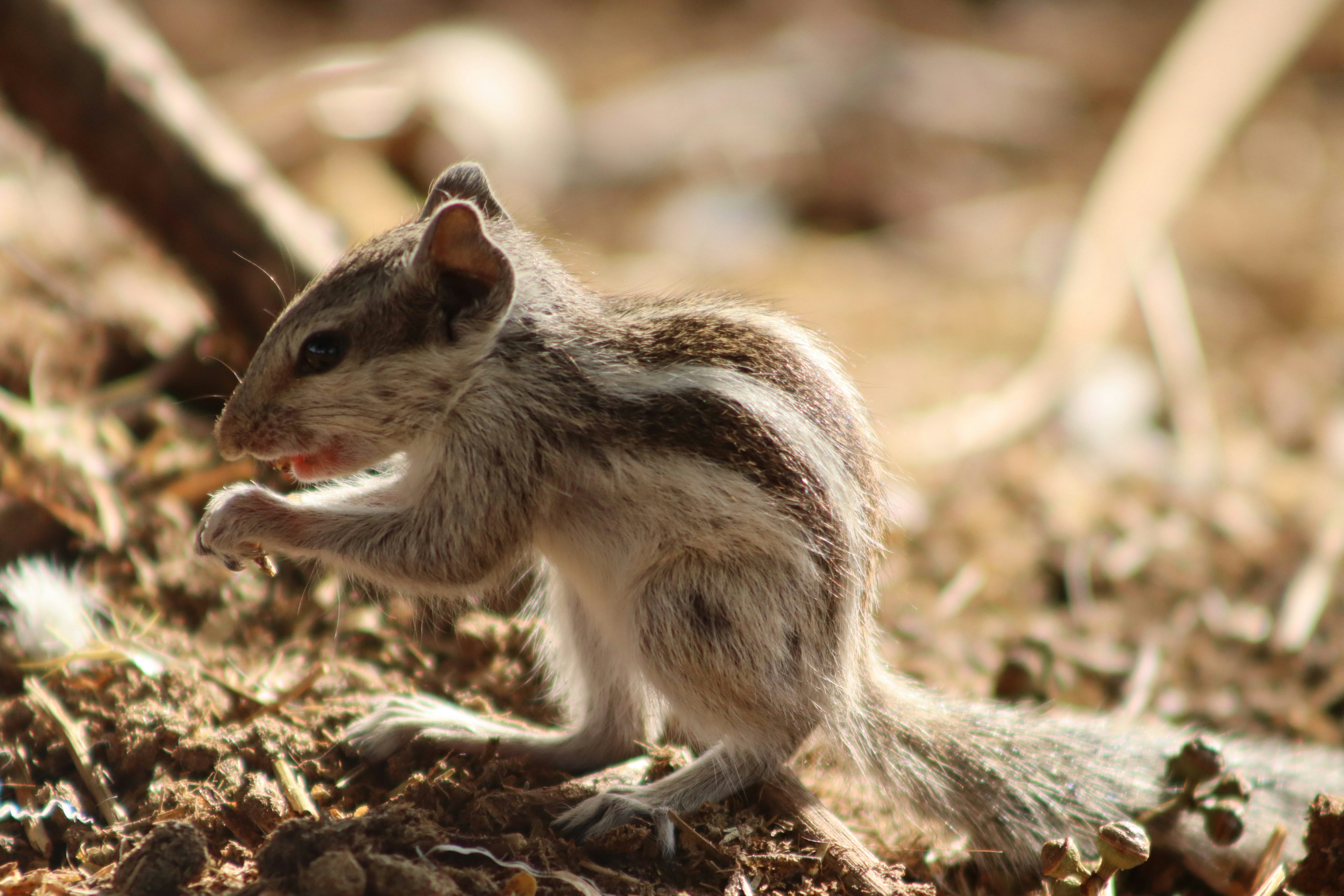 Photo by drphotographer152