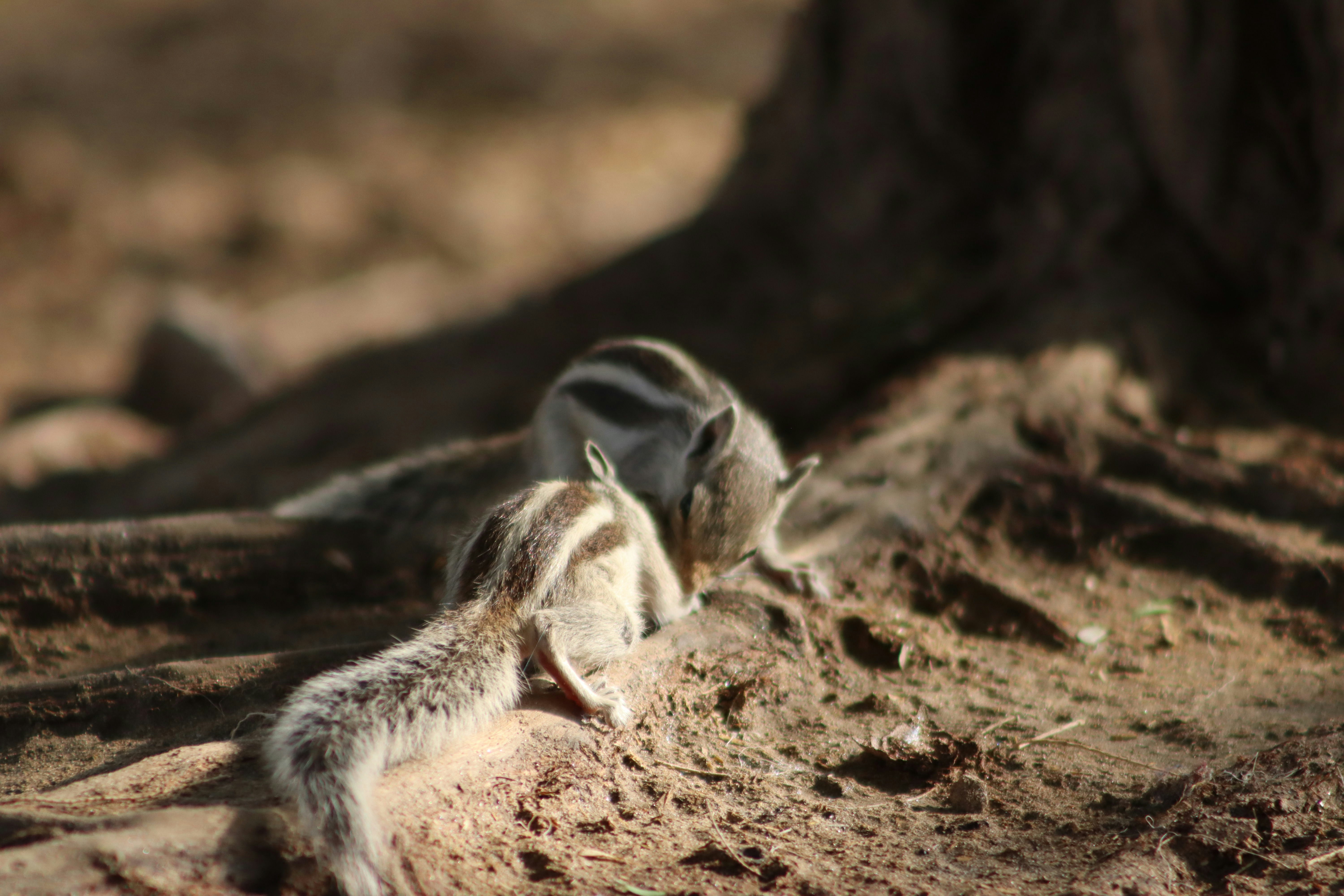 Photo by drphotographer152