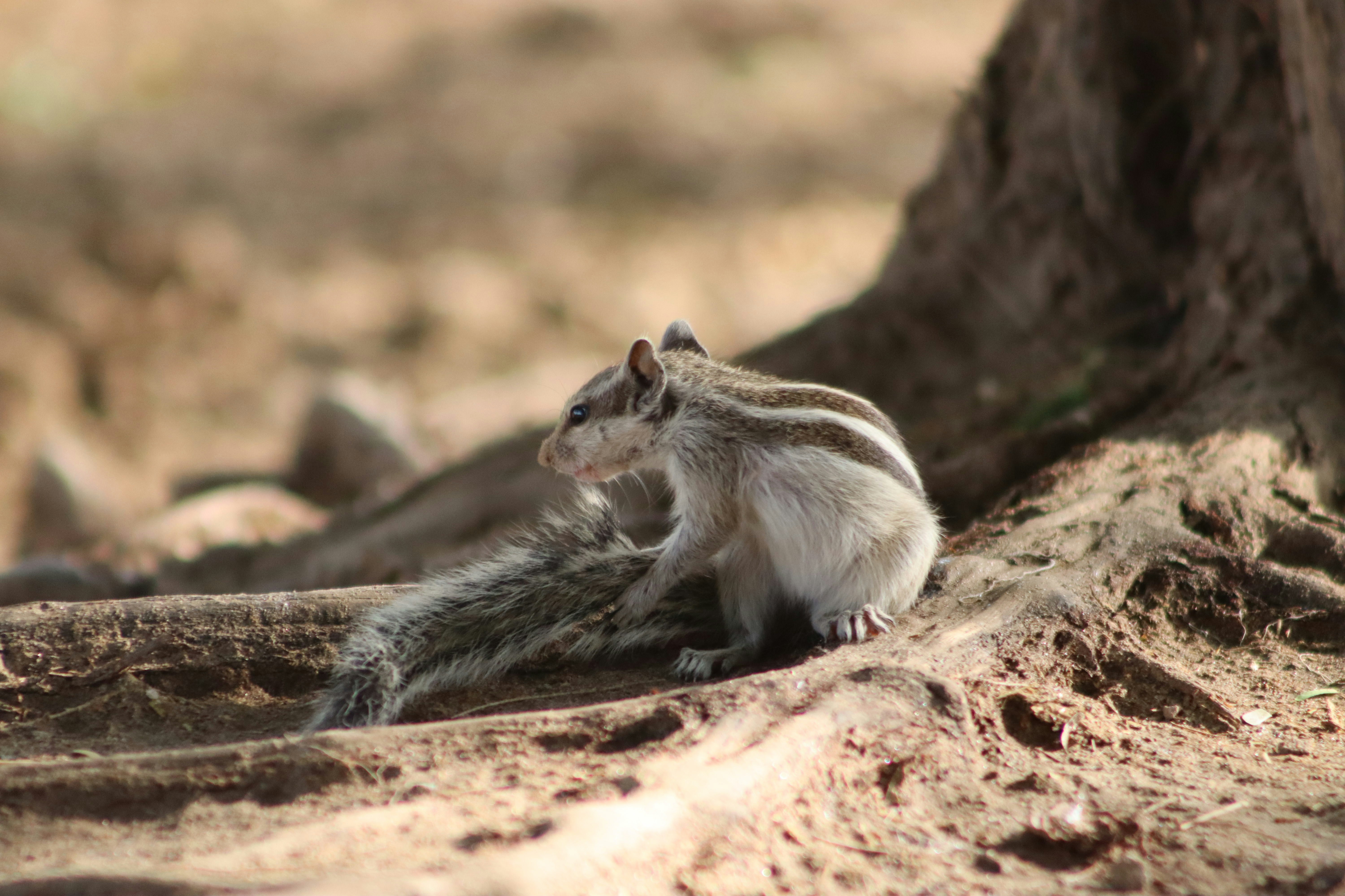 Photo by drphotographer152