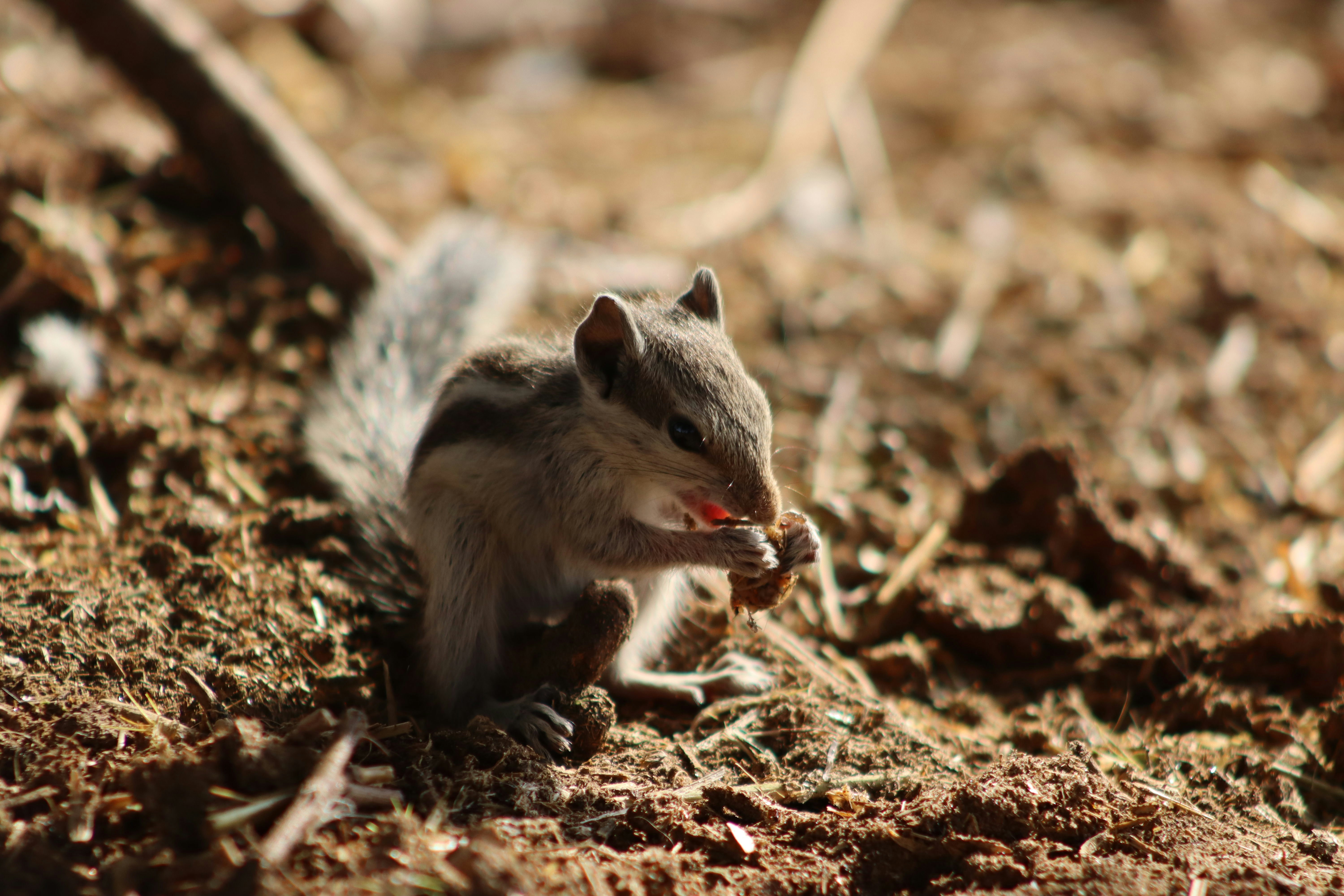 Photo by drphotographer152