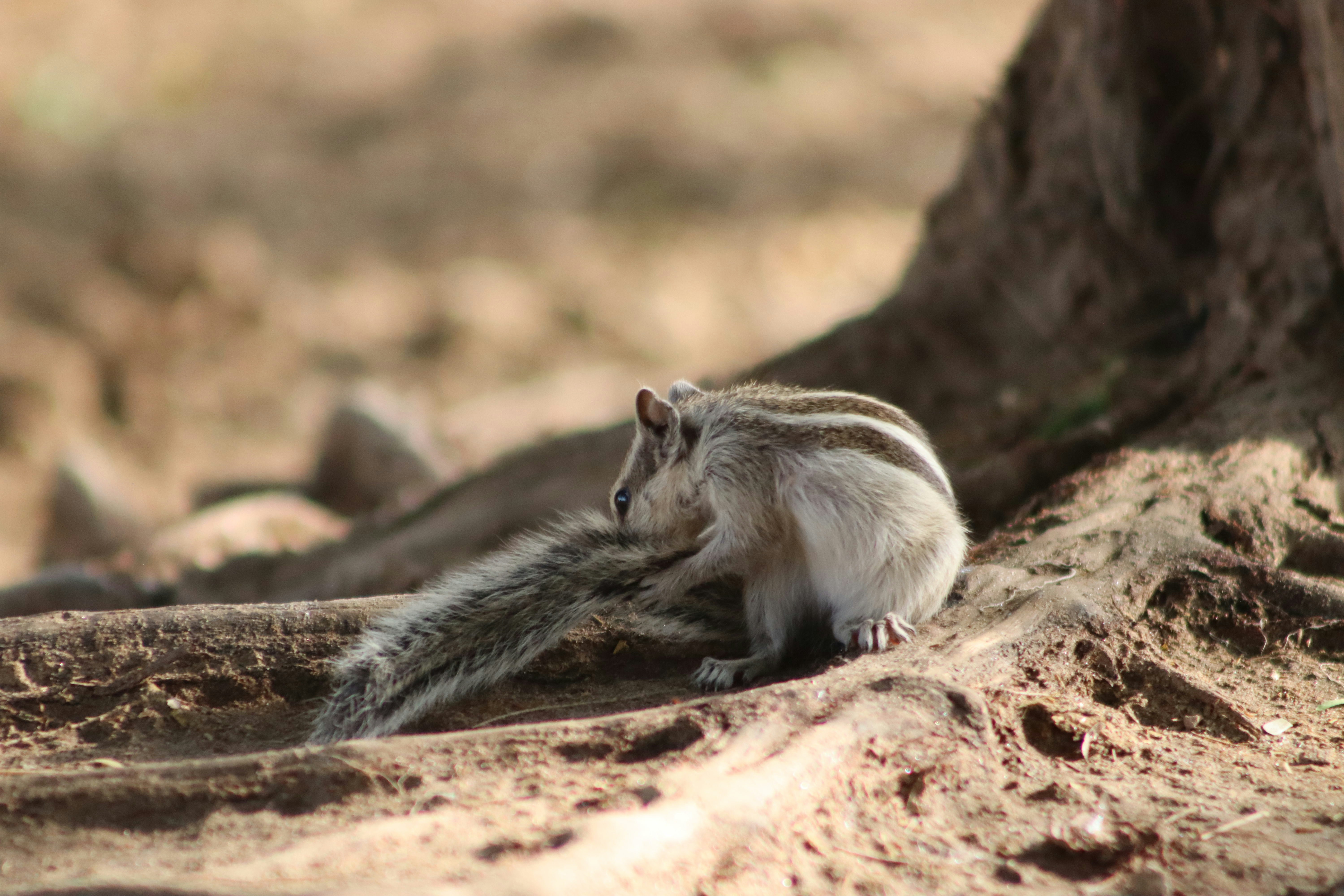 Photo by drphotographer152