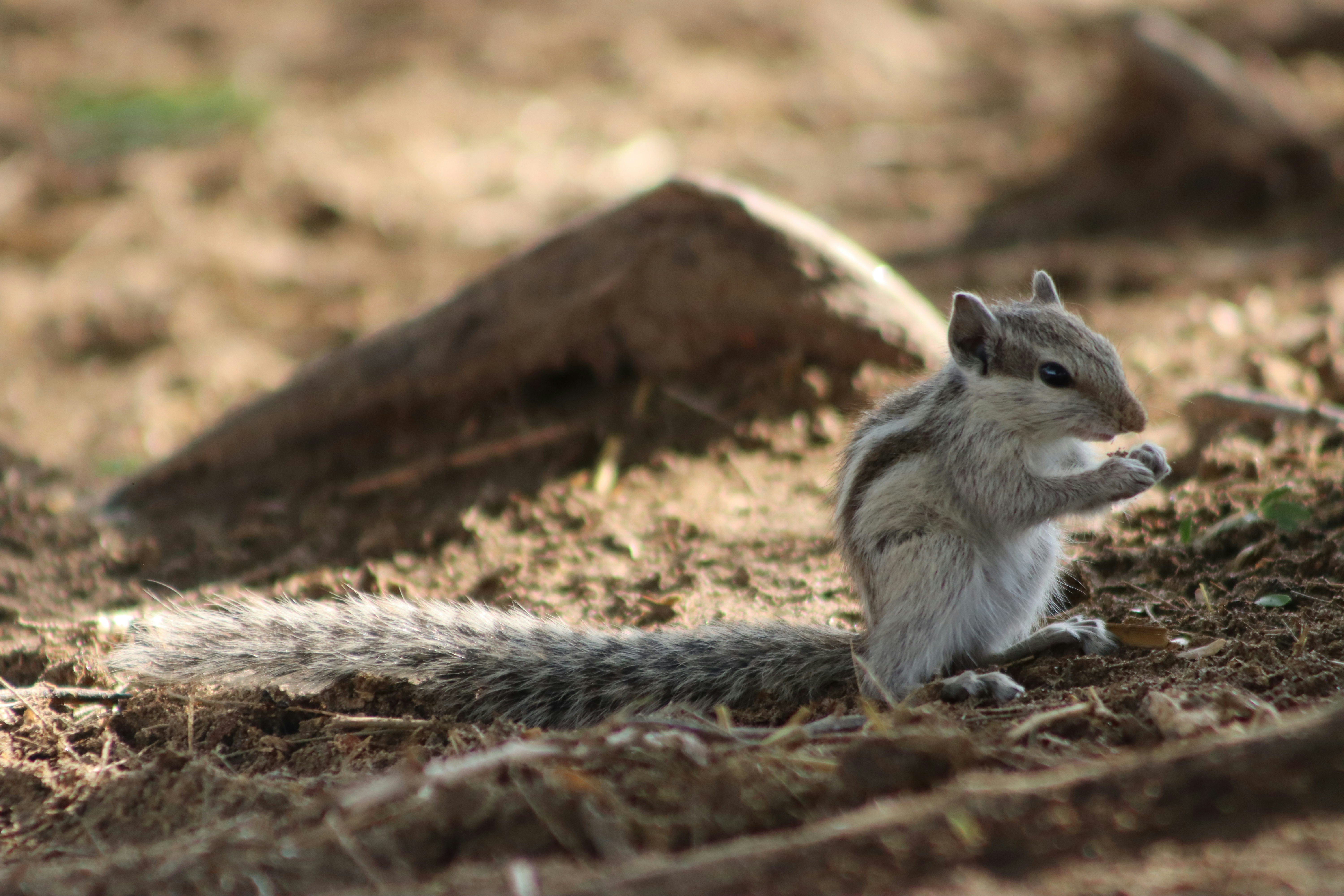 Photo by drphotographer152