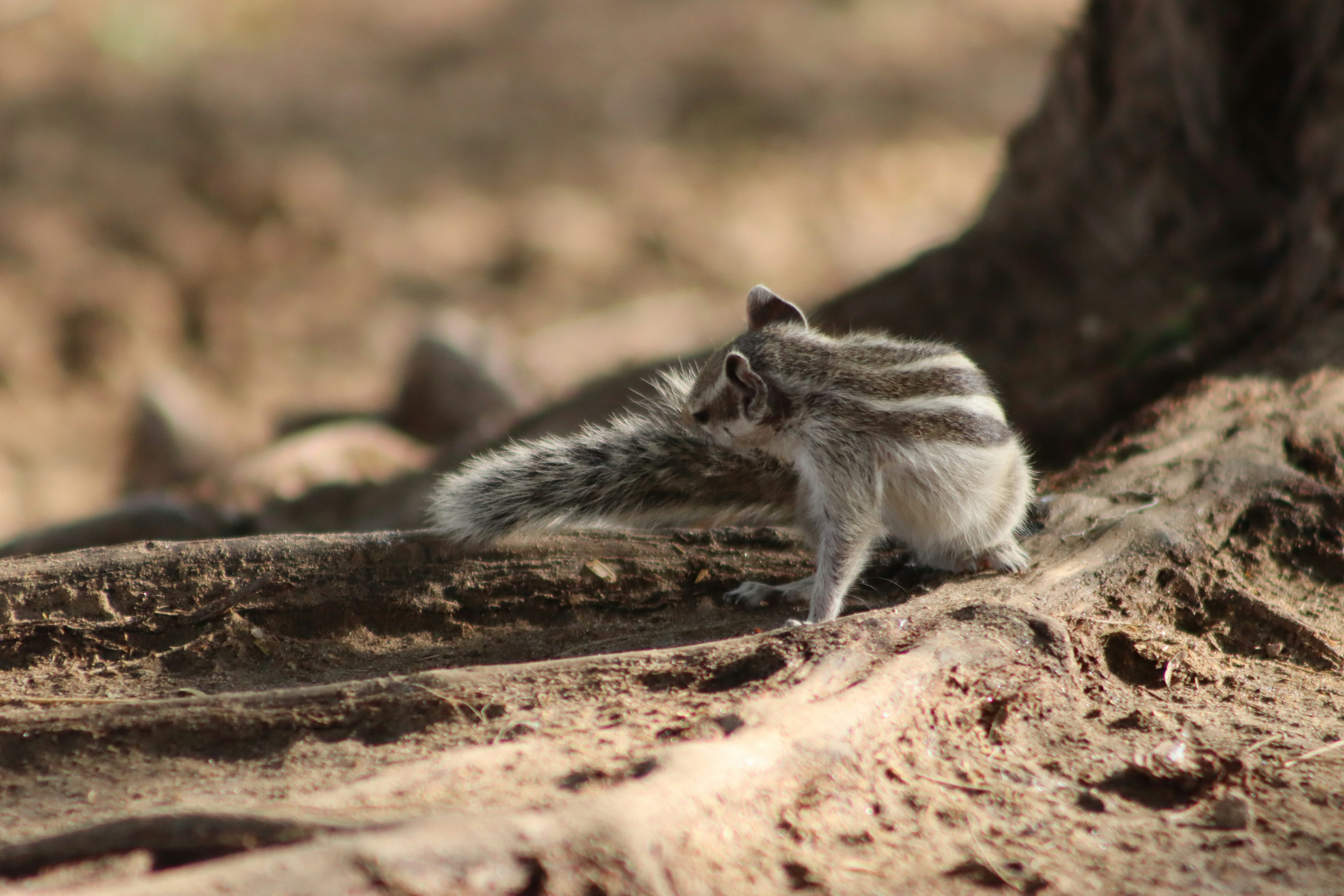 Photo by drphotographer152