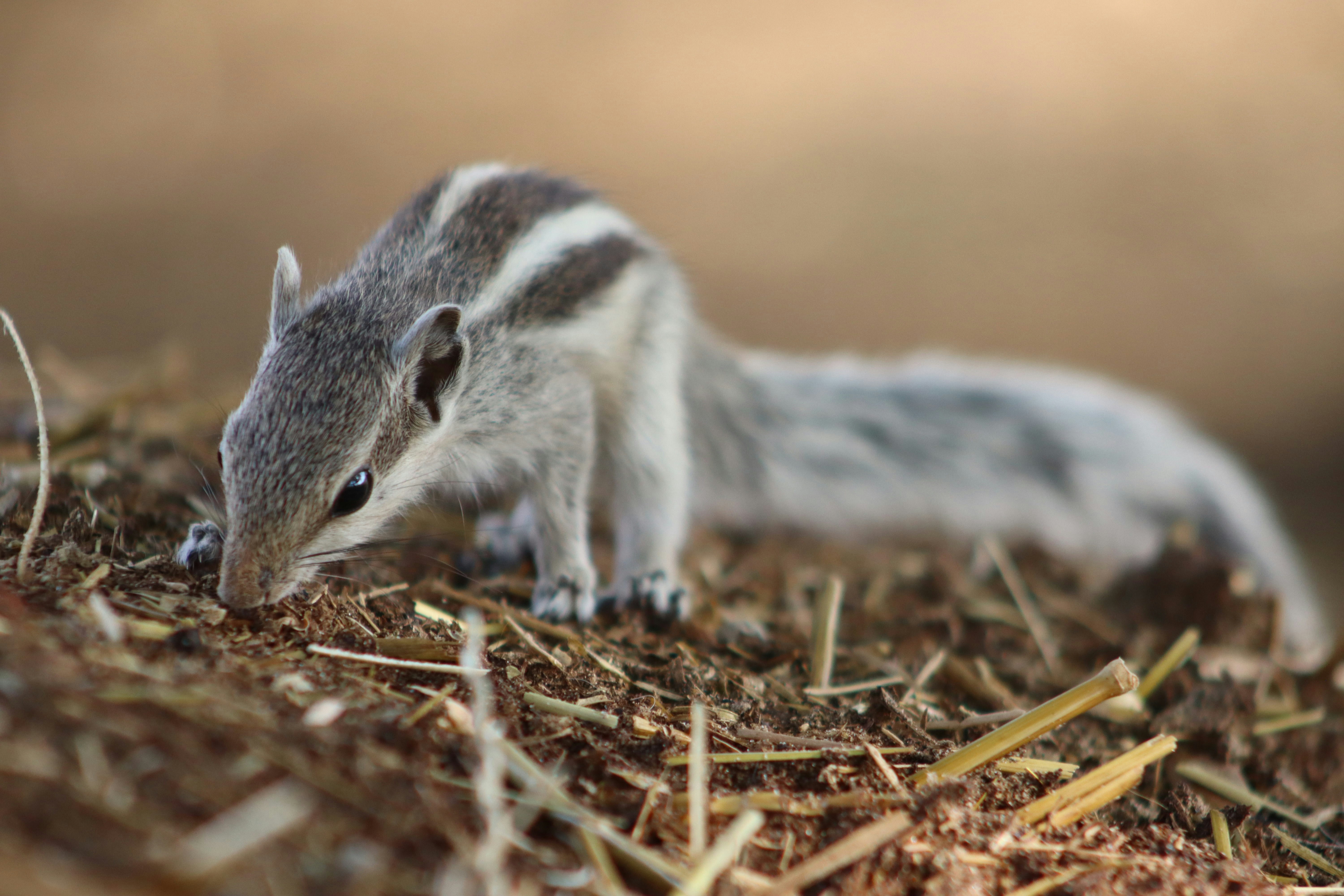 Photo by drphotographer152