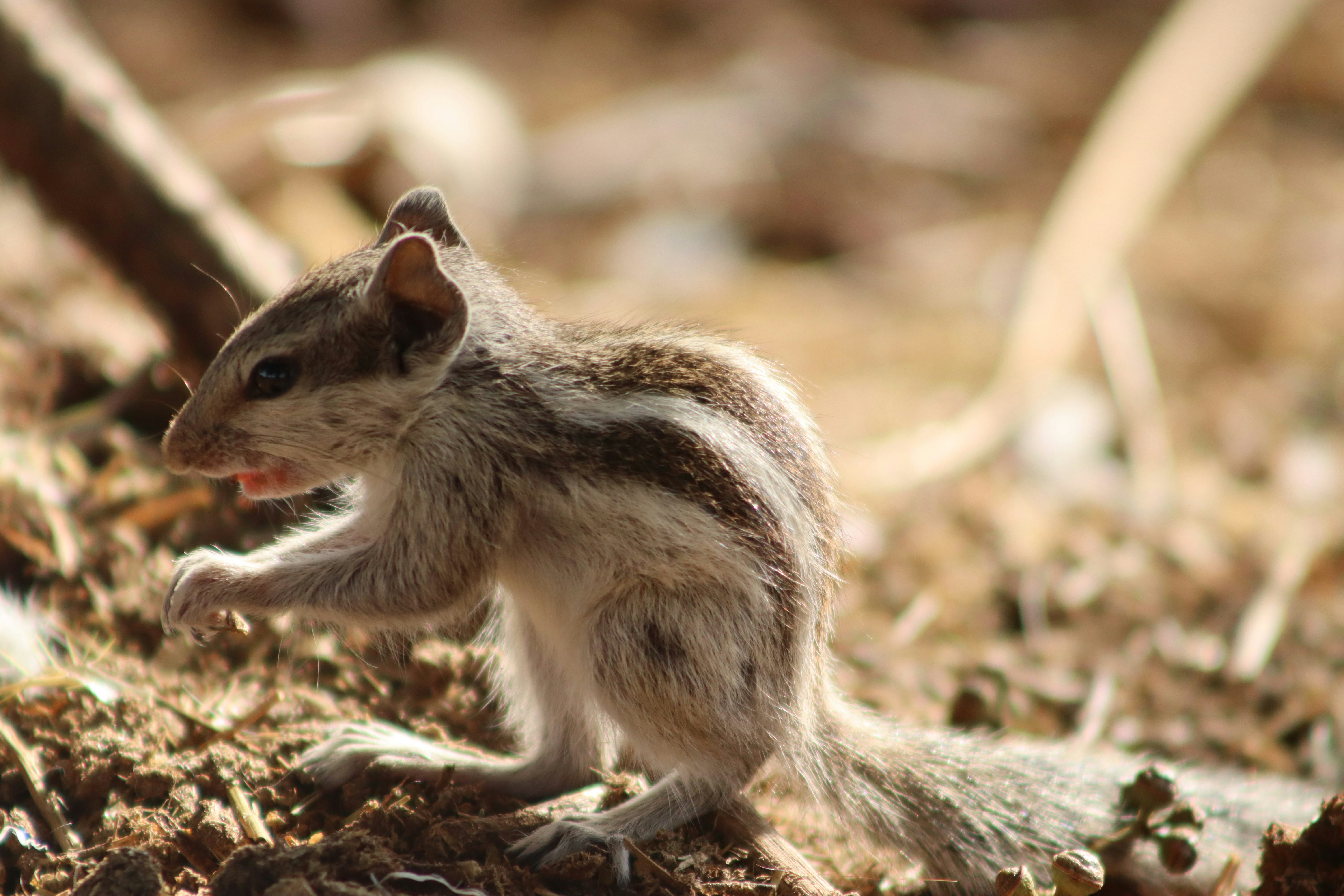 Photo by drphotographer152