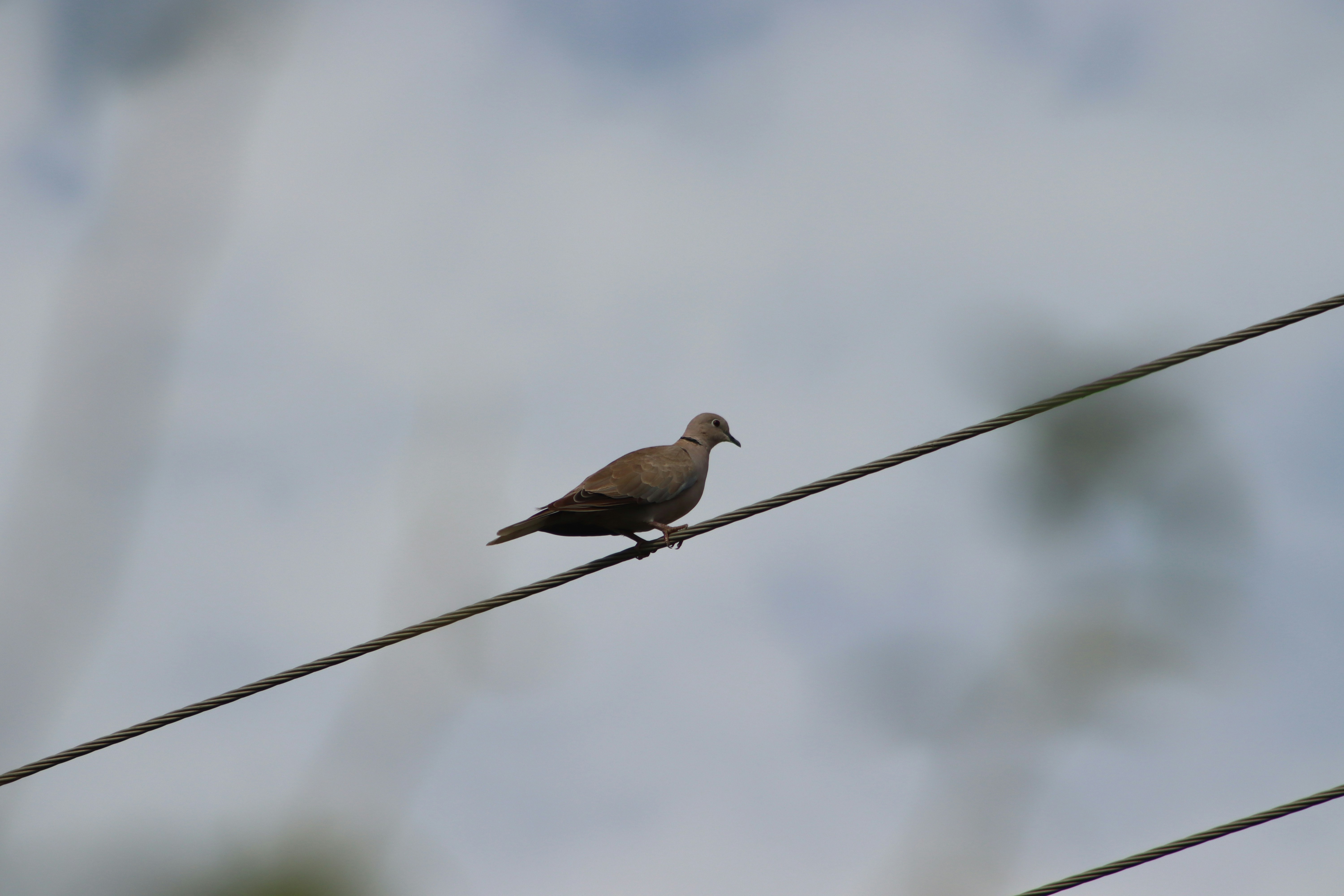 Photo by drphotographer152