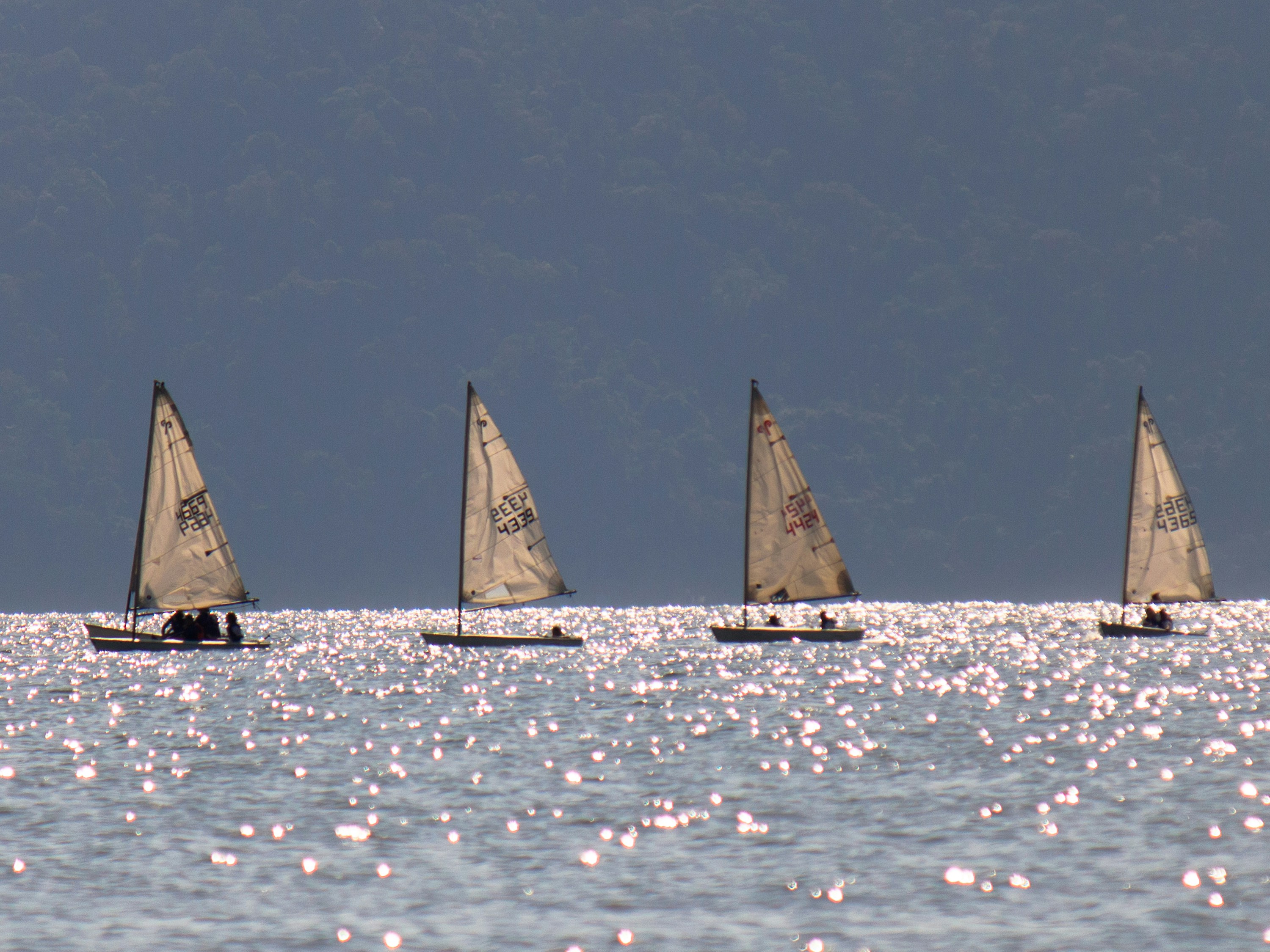 Photo by paulo_pescada