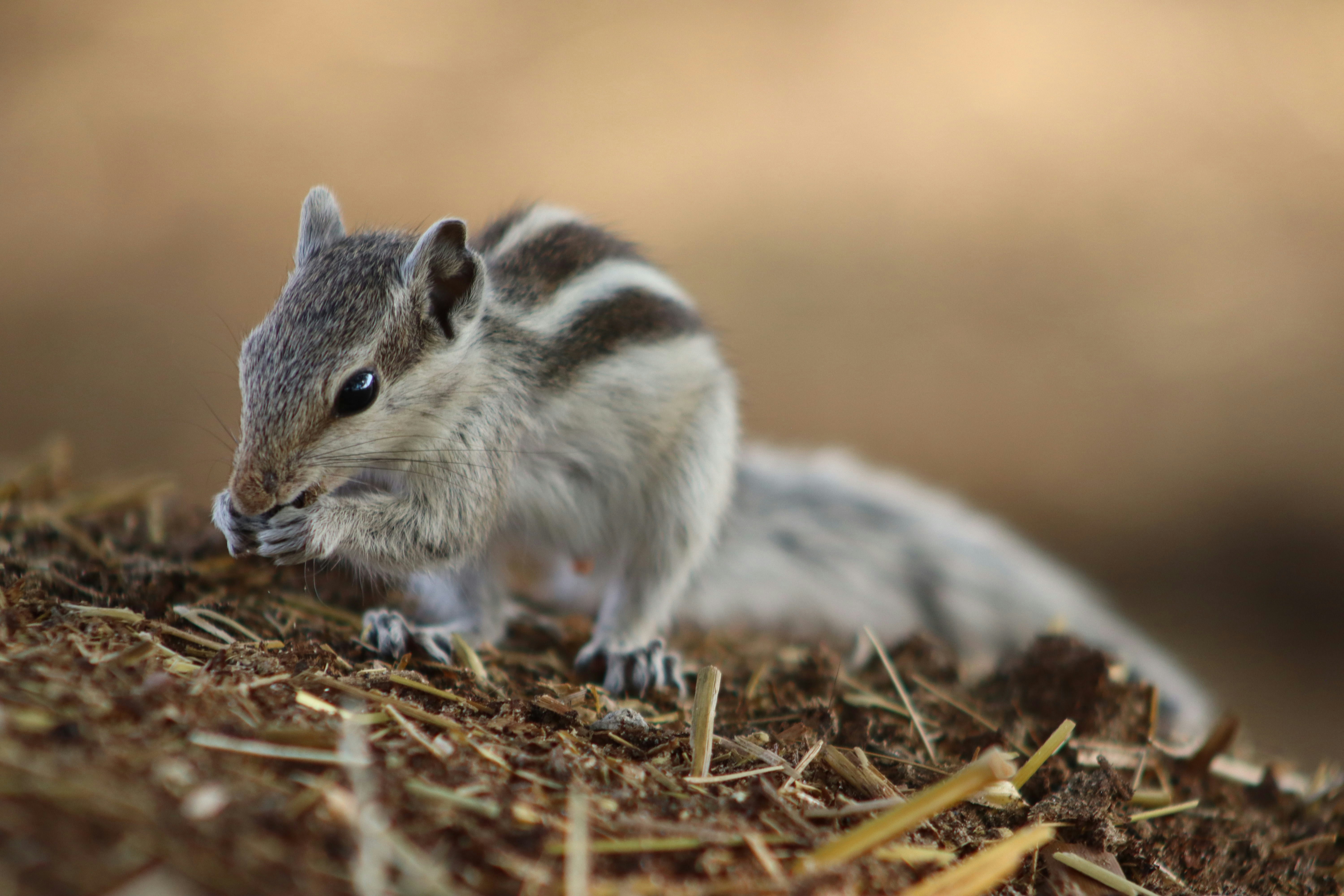 Photo by drphotographer152