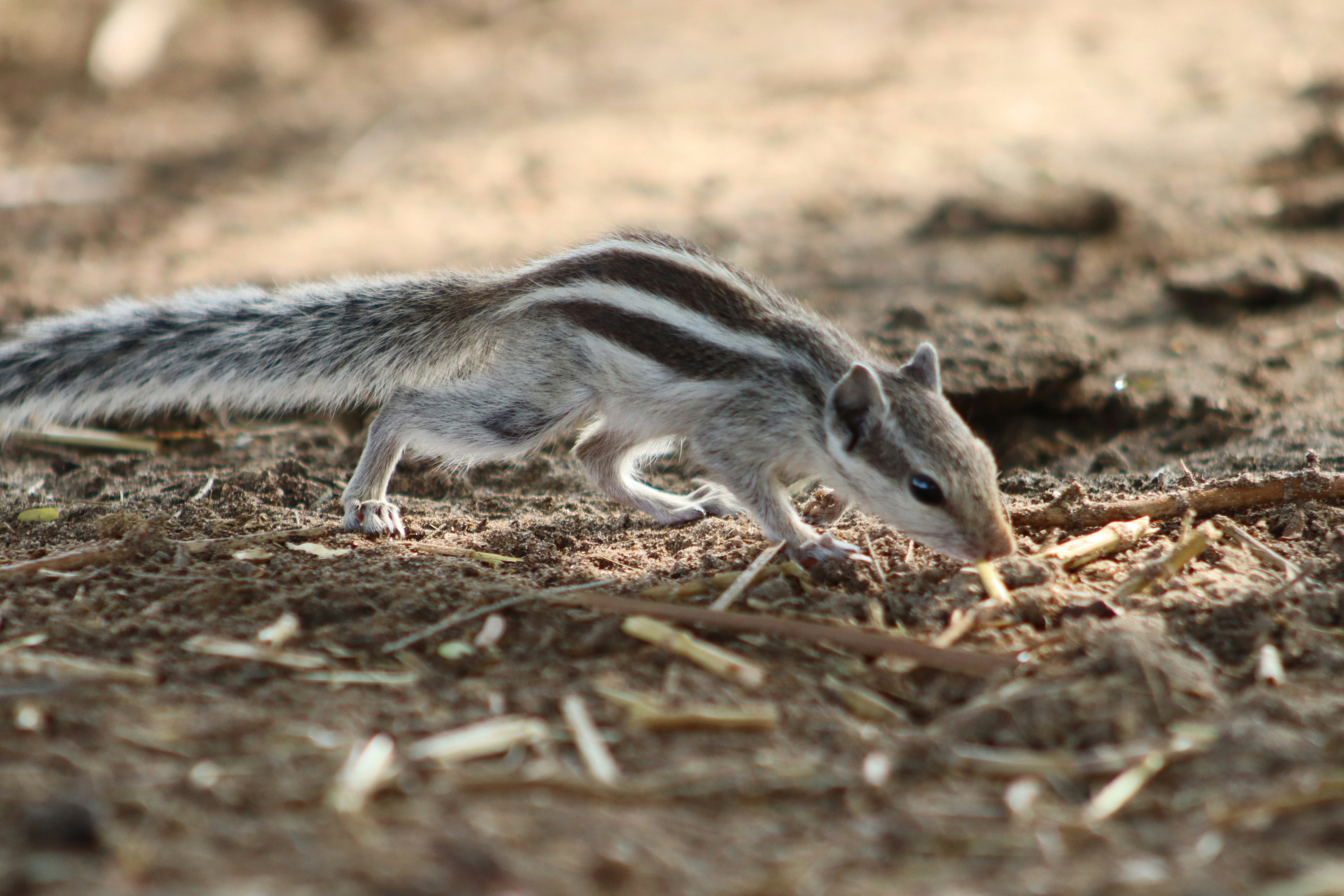 Photo by drphotographer152