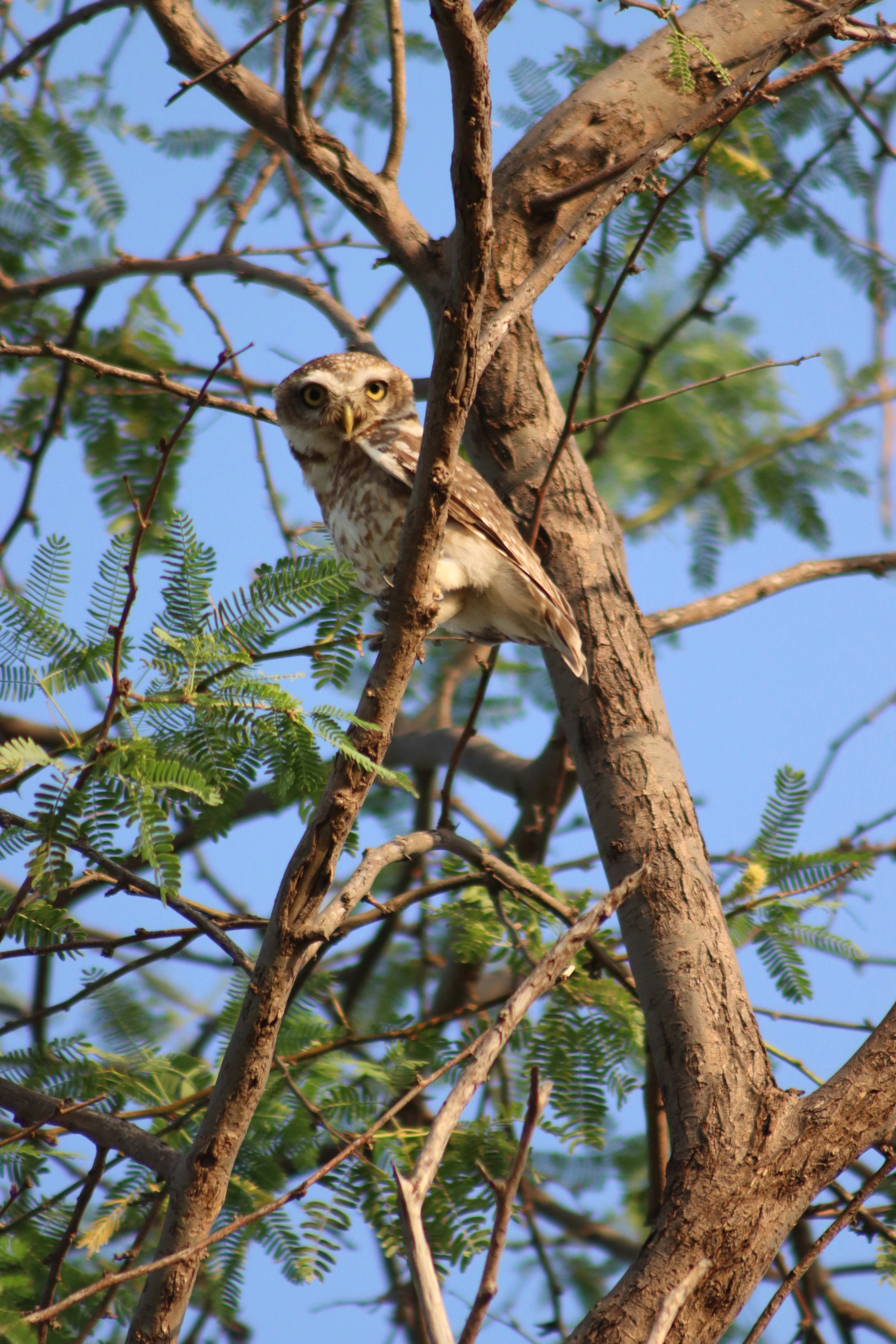 Photo by drphotographer152