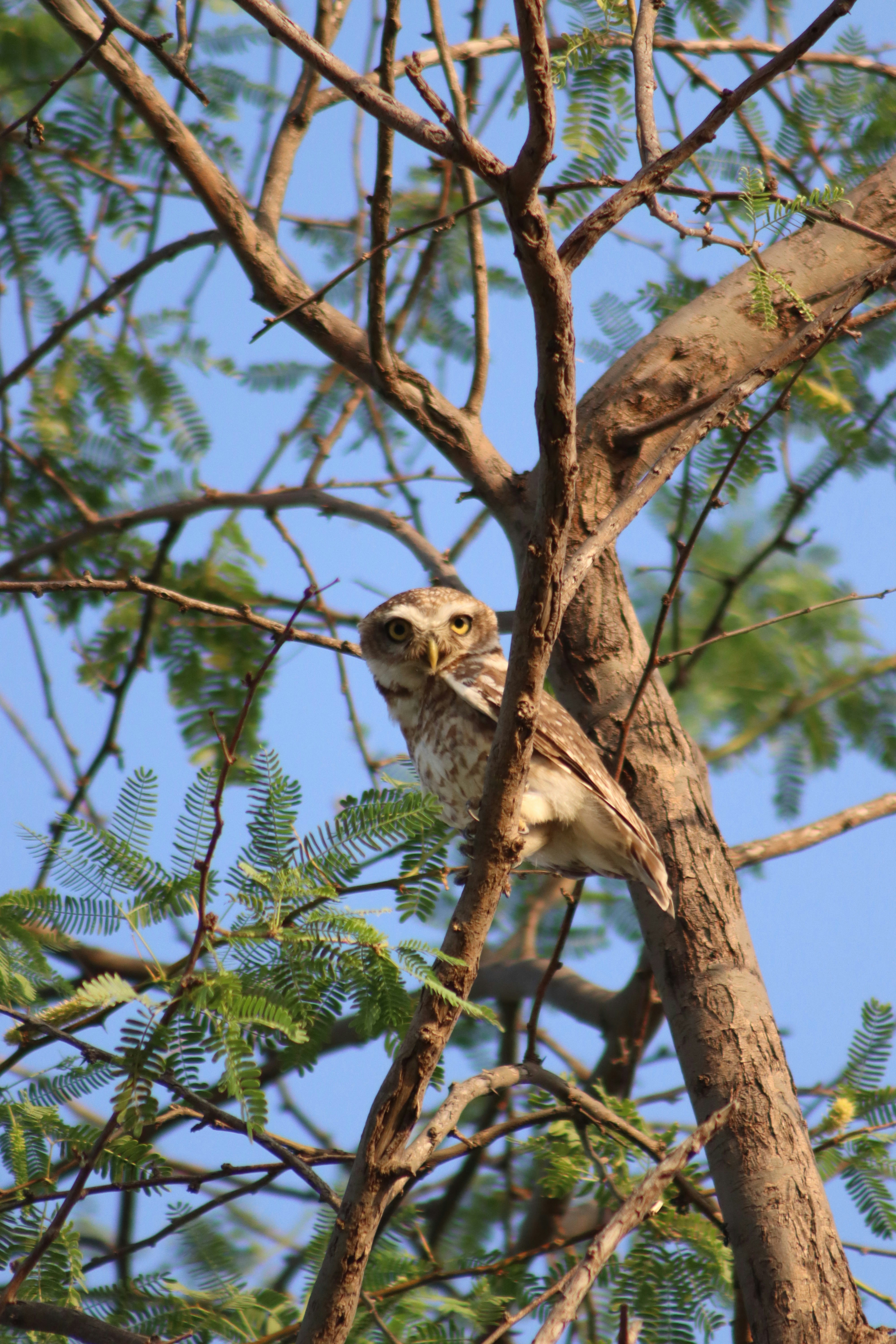 Photo by drphotographer152