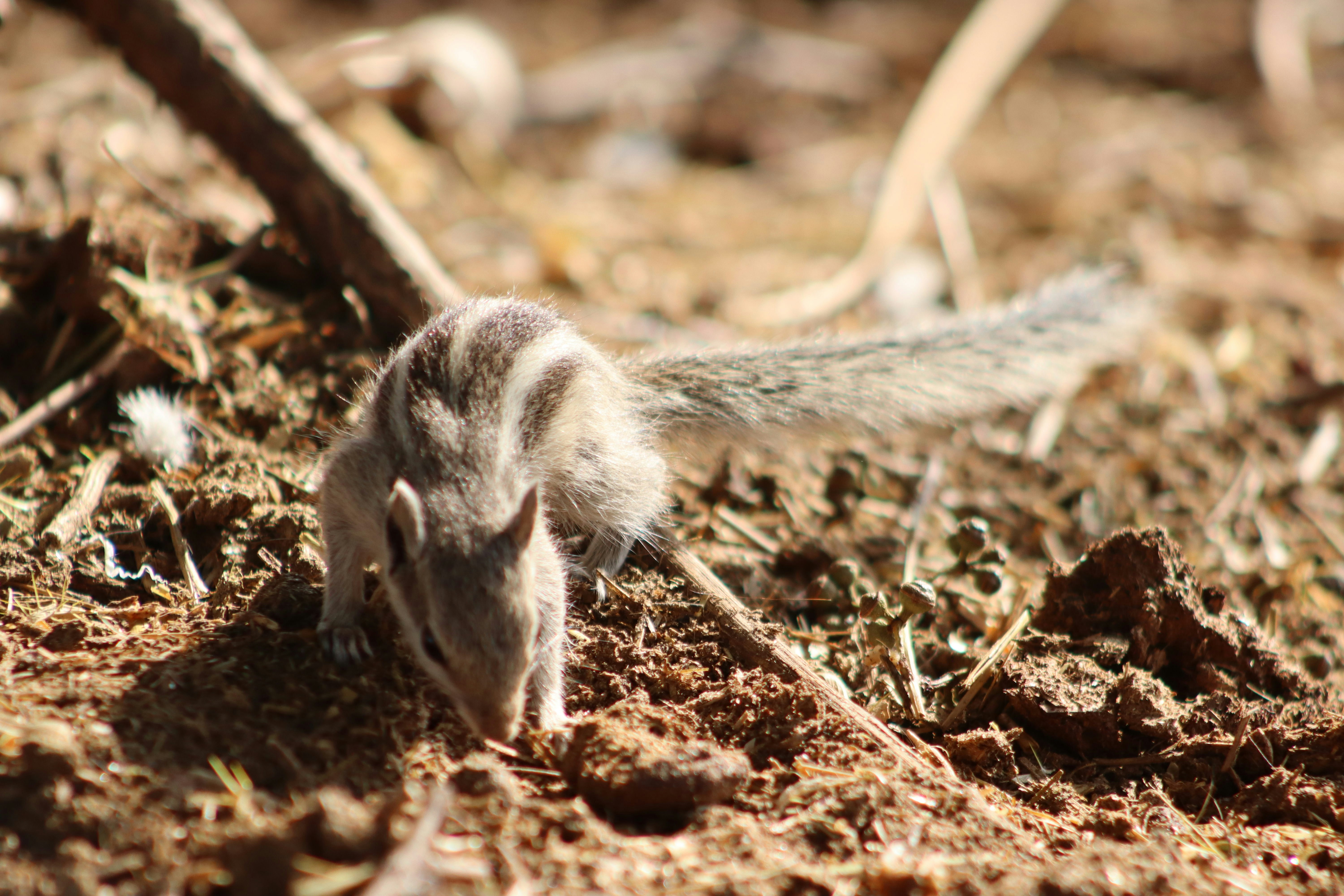 Photo by drphotographer152