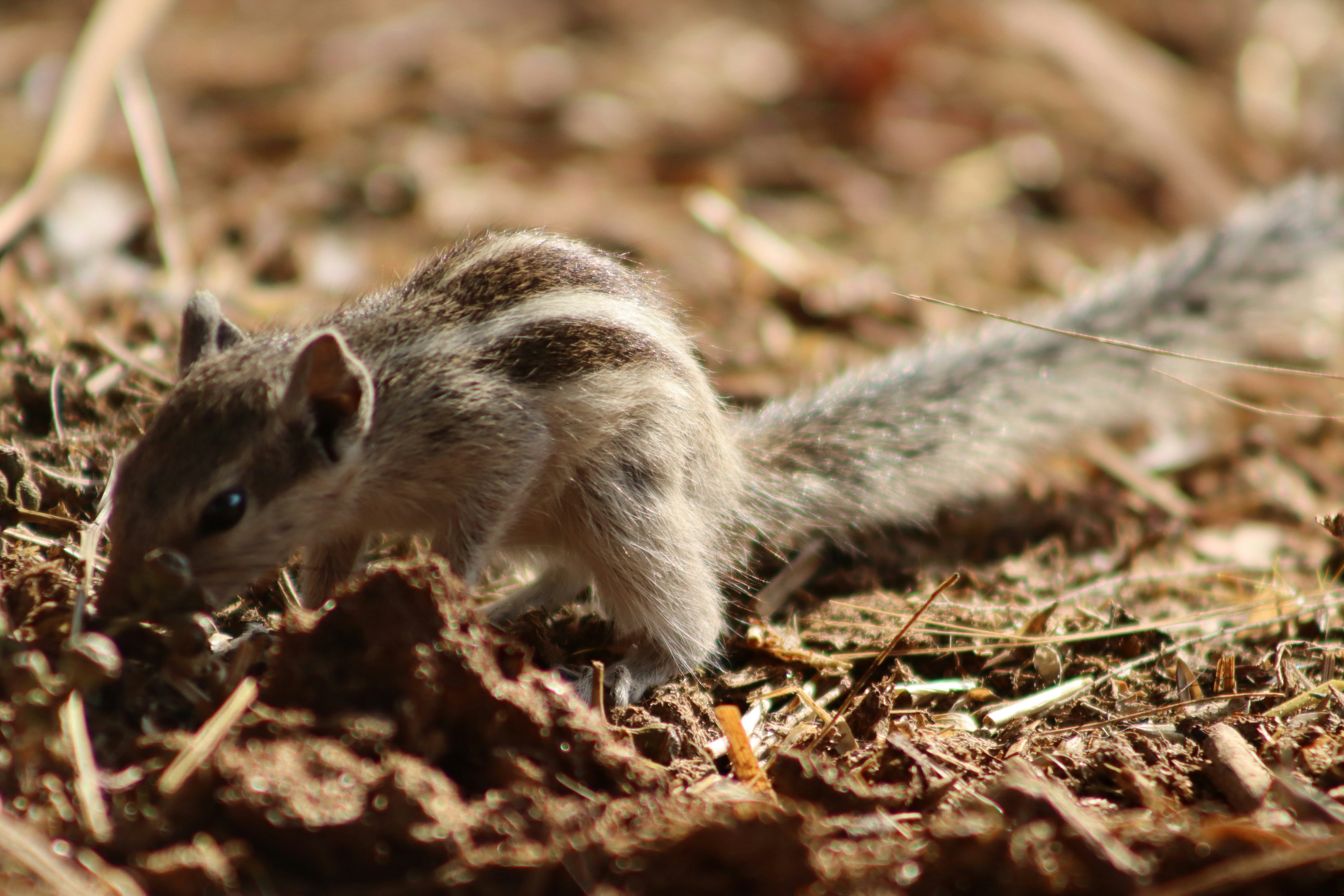 Photo by drphotographer152