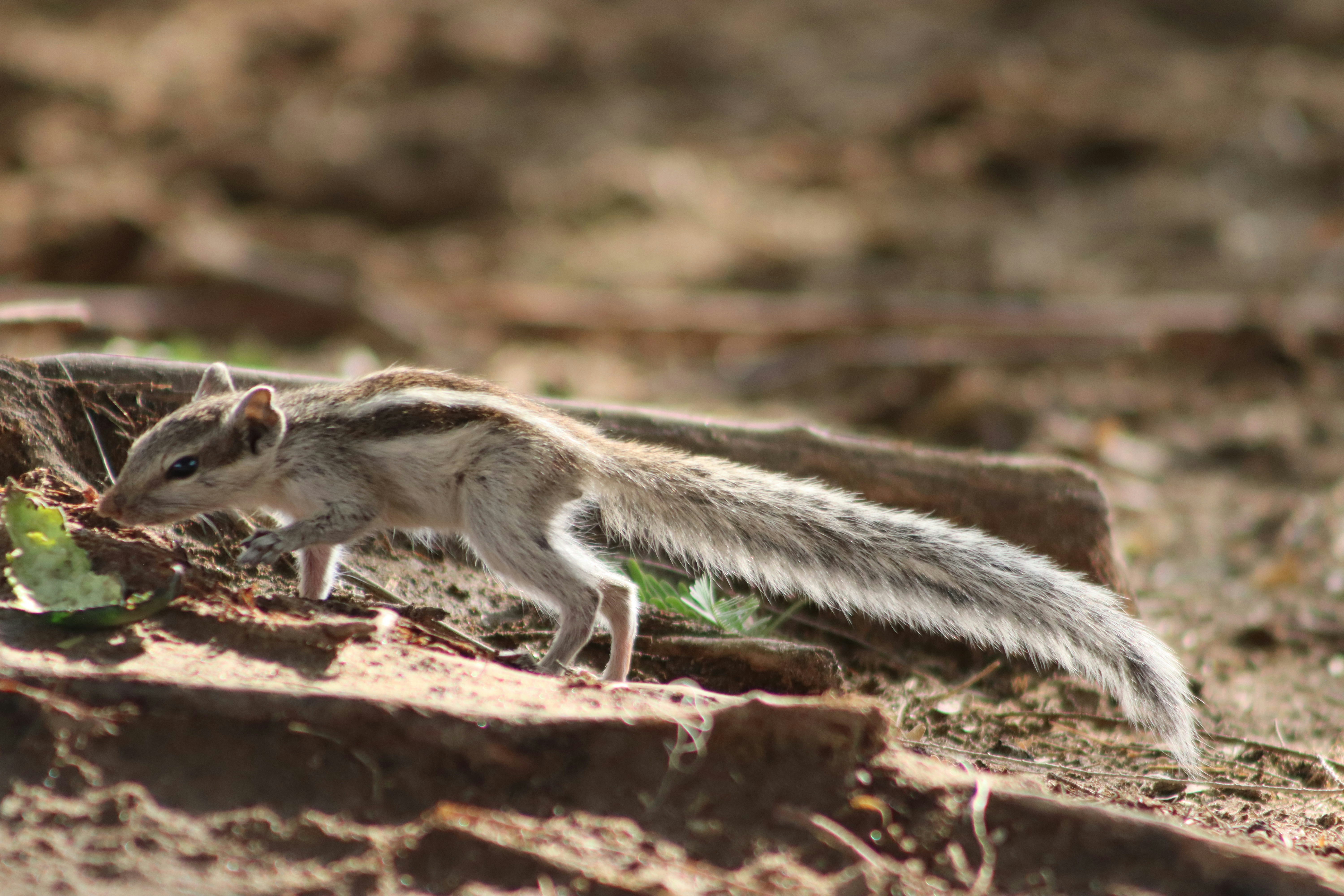 Photo by drphotographer152