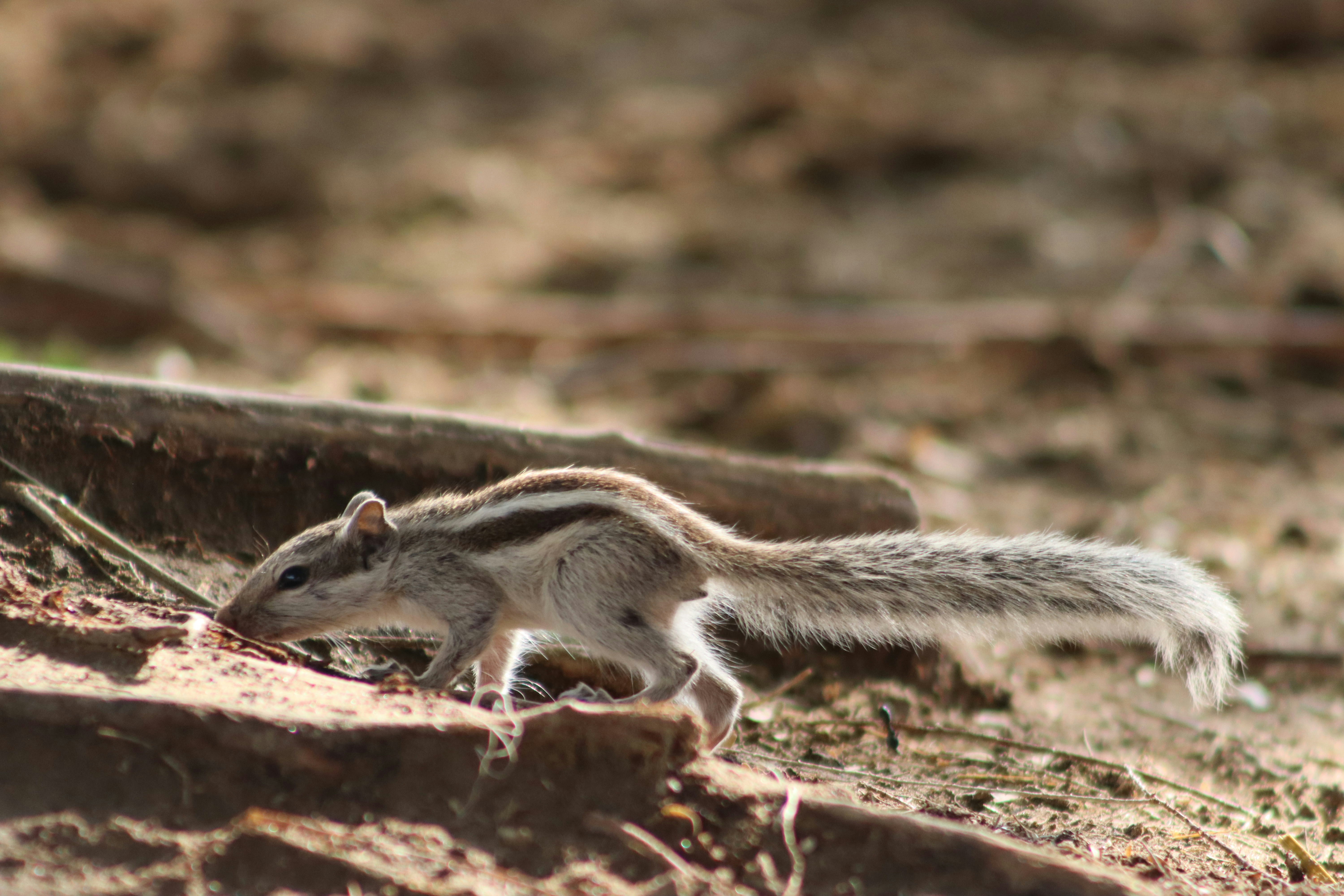 Photo by drphotographer152