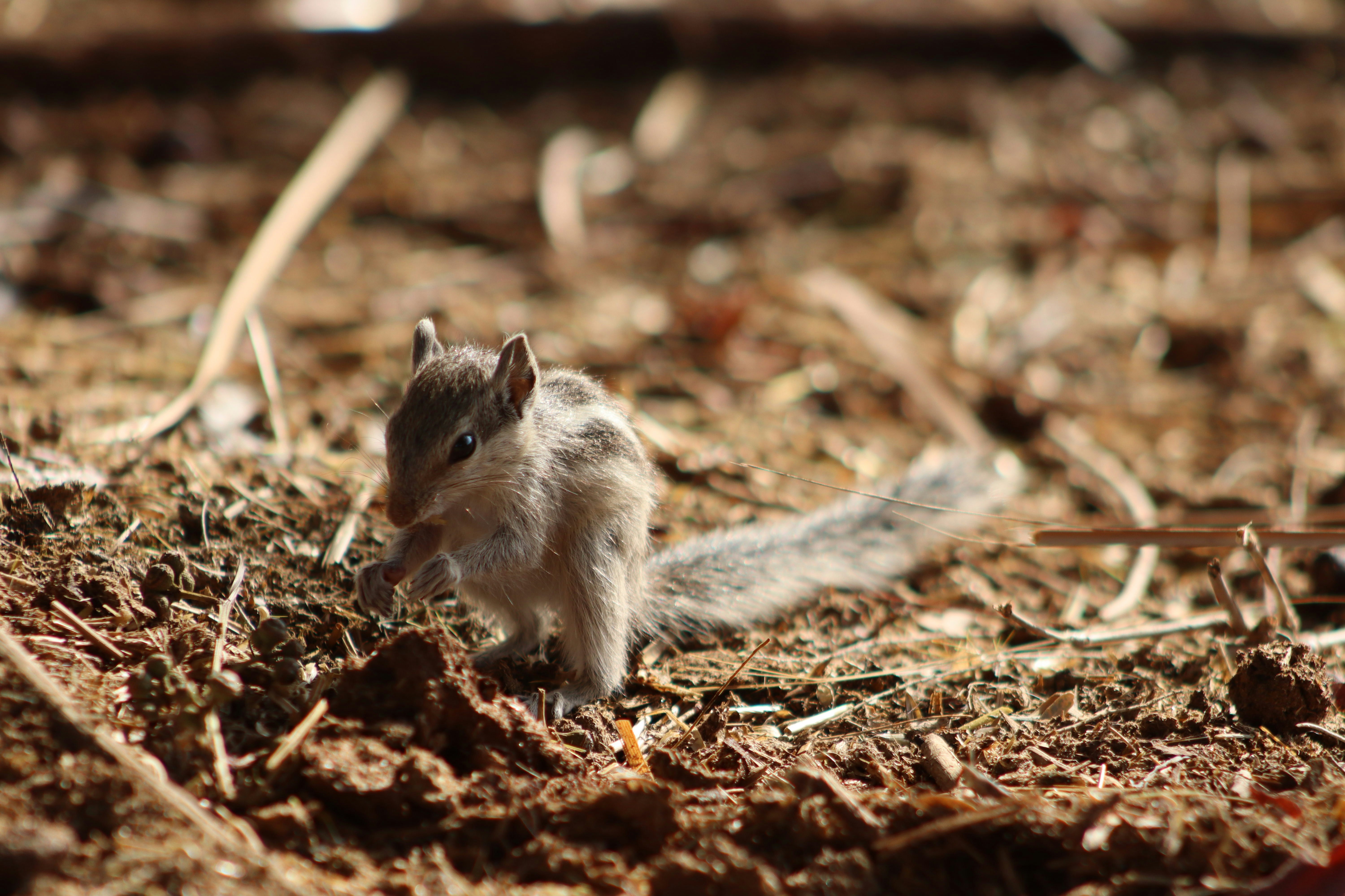 Photo by drphotographer152