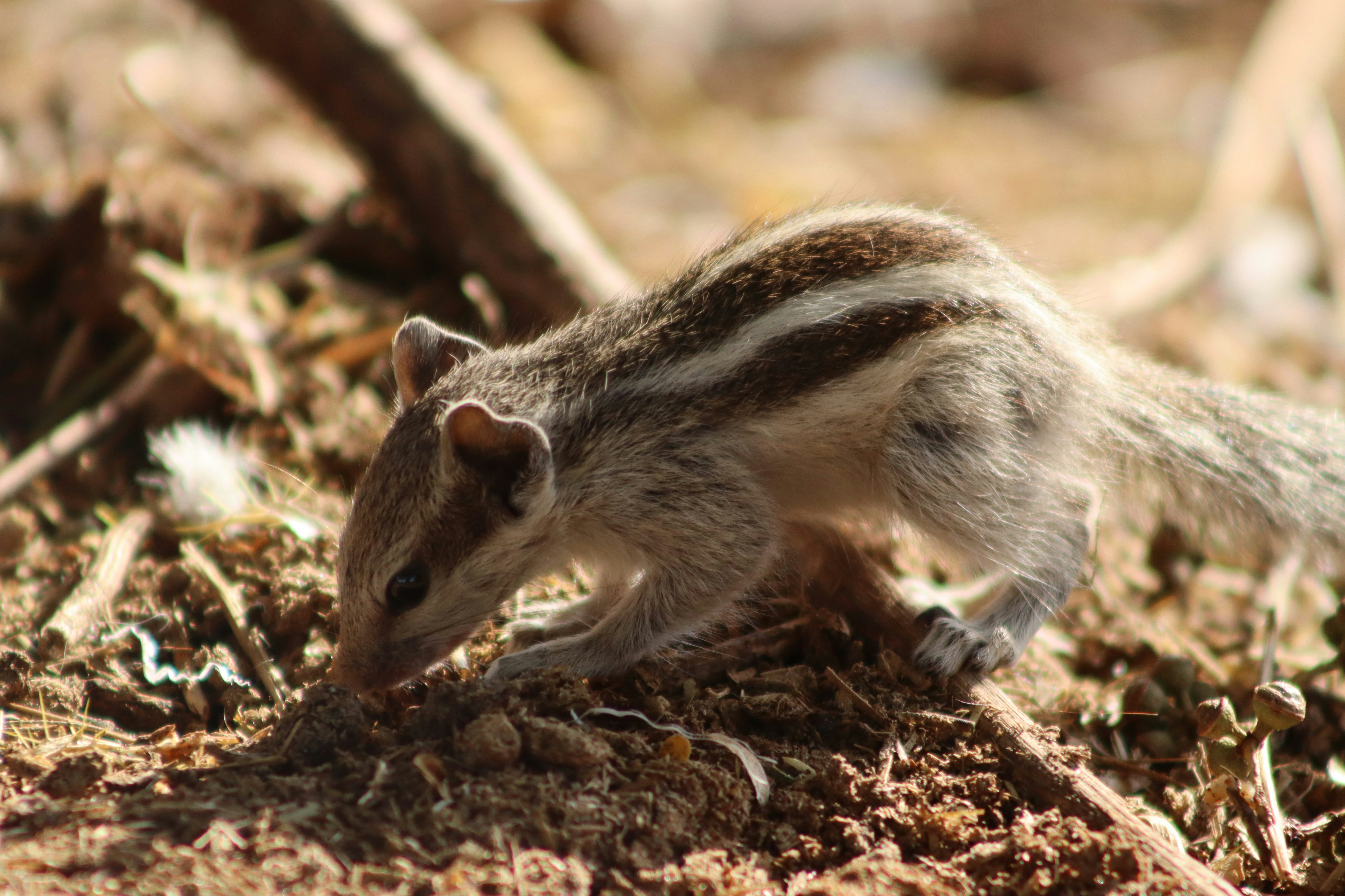 Photo by drphotographer152