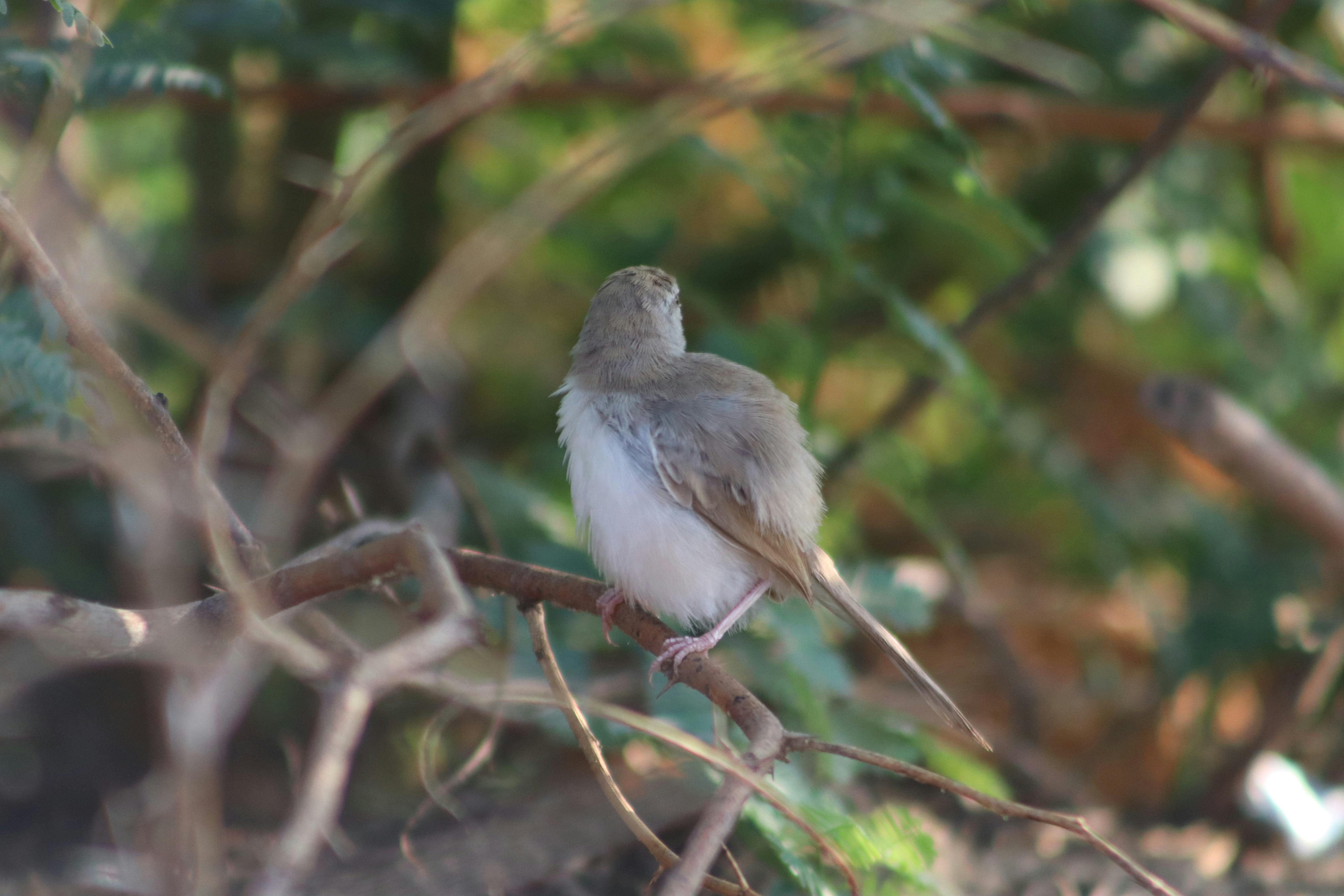 Photo by drphotographer152