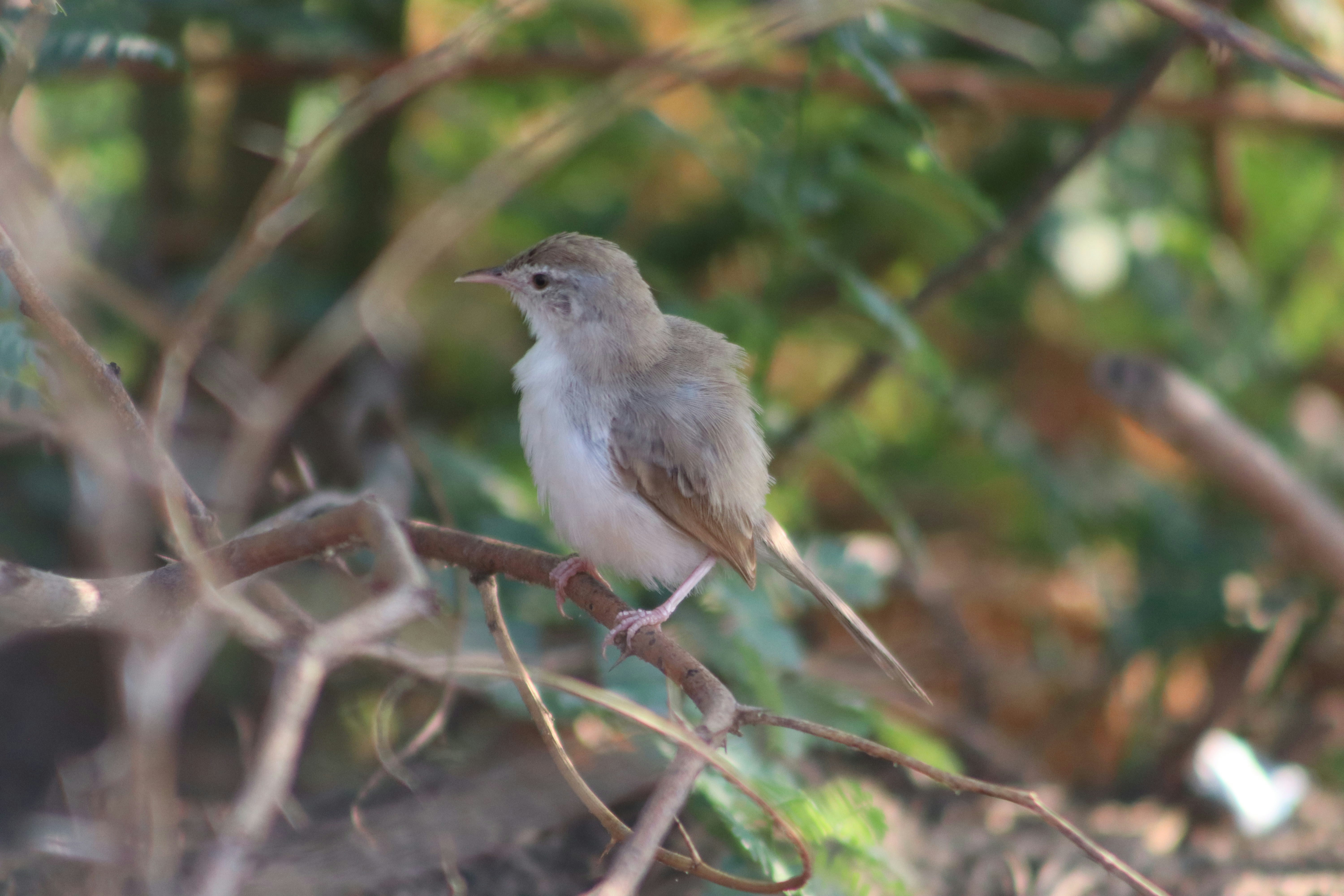 Photo by drphotographer152