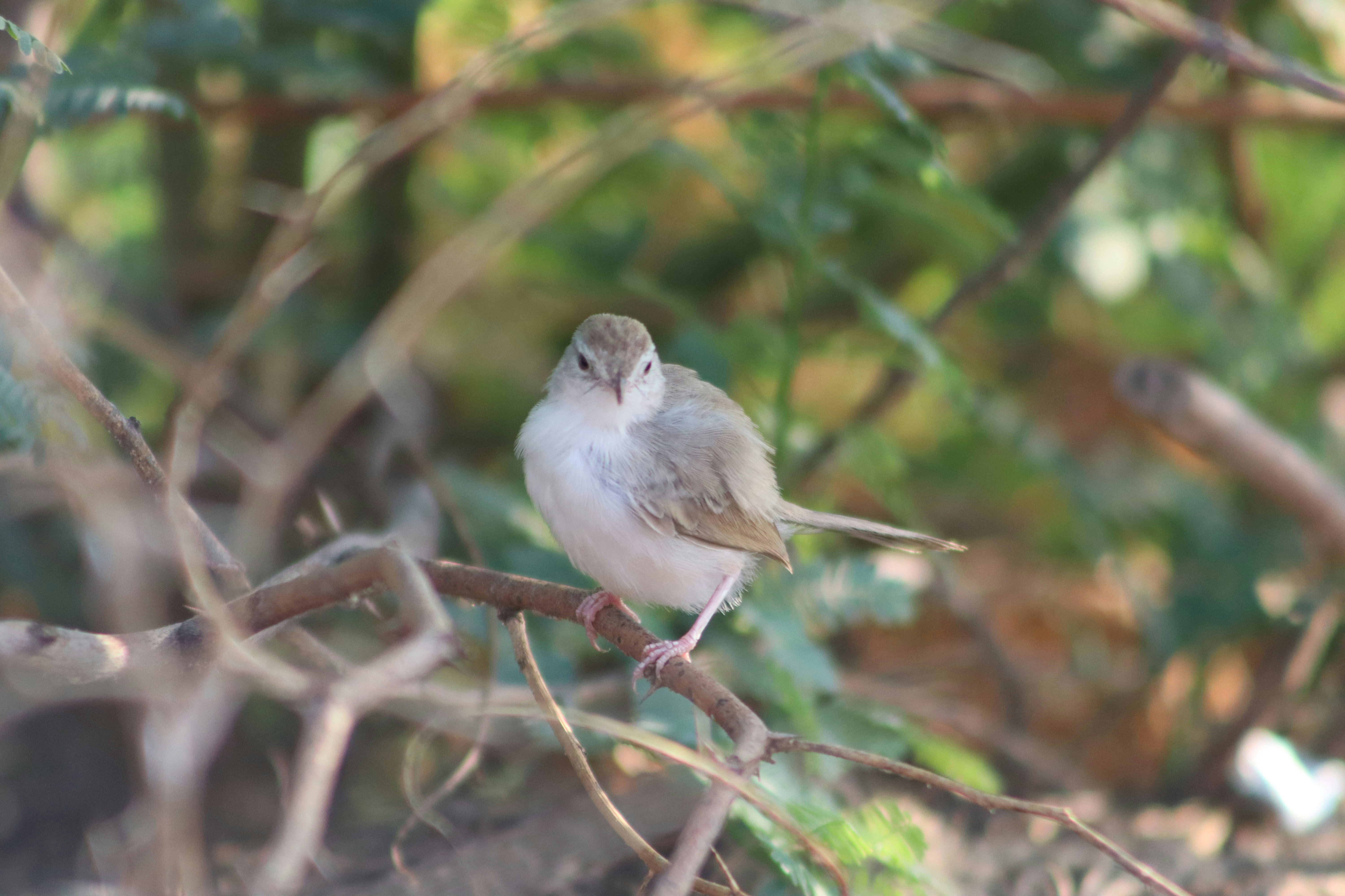 Photo by drphotographer152