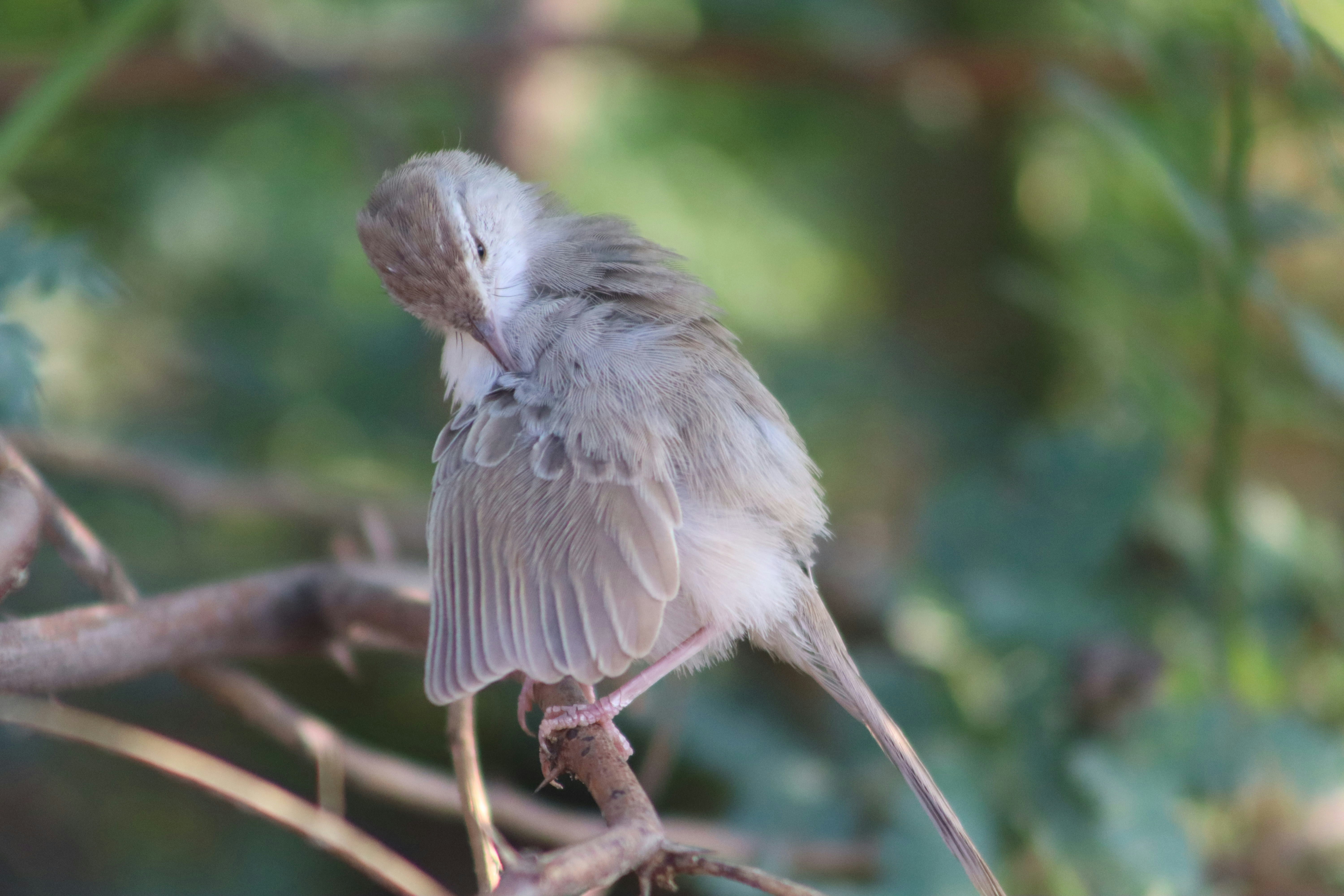 Photo by drphotographer152