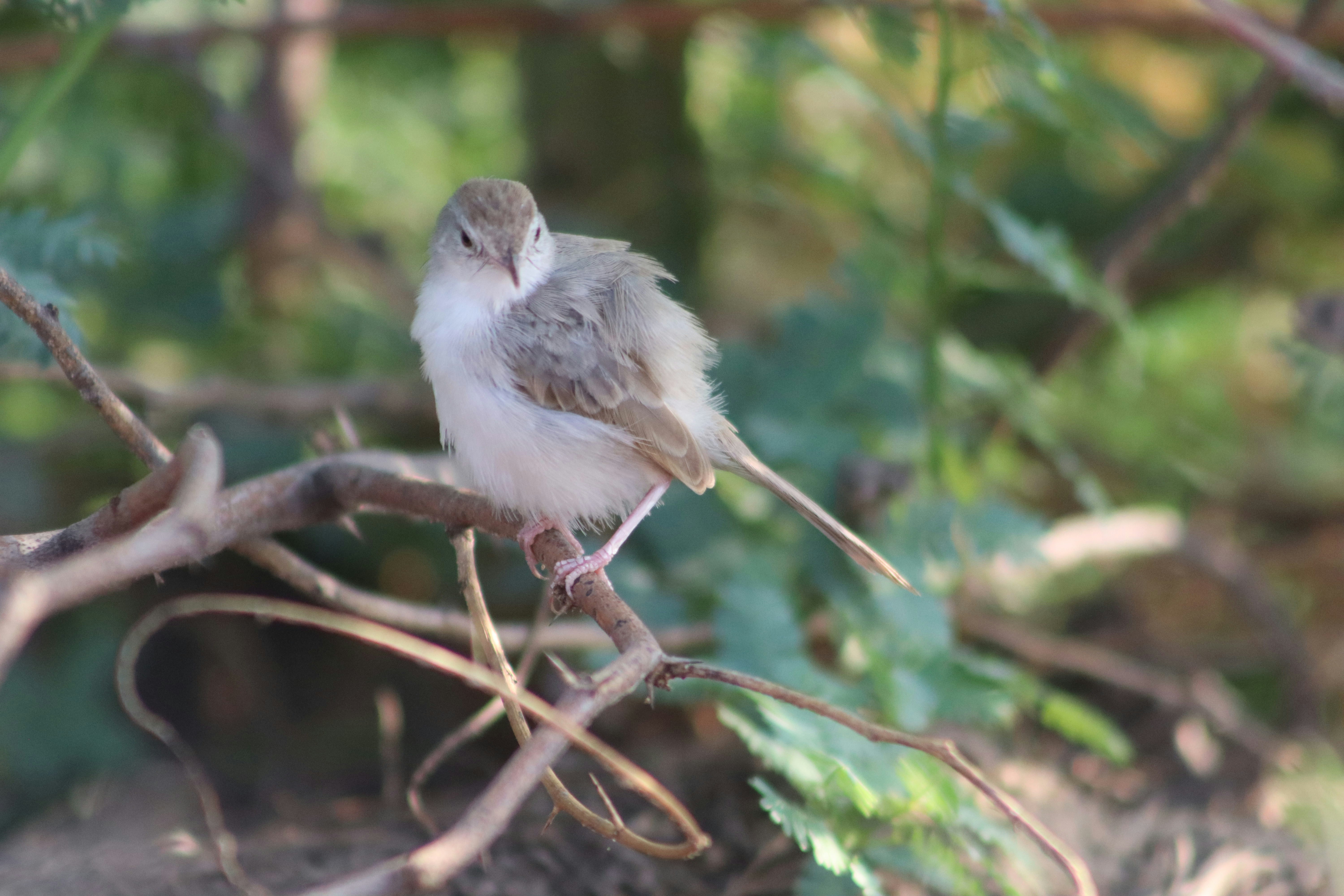 Photo by drphotographer152