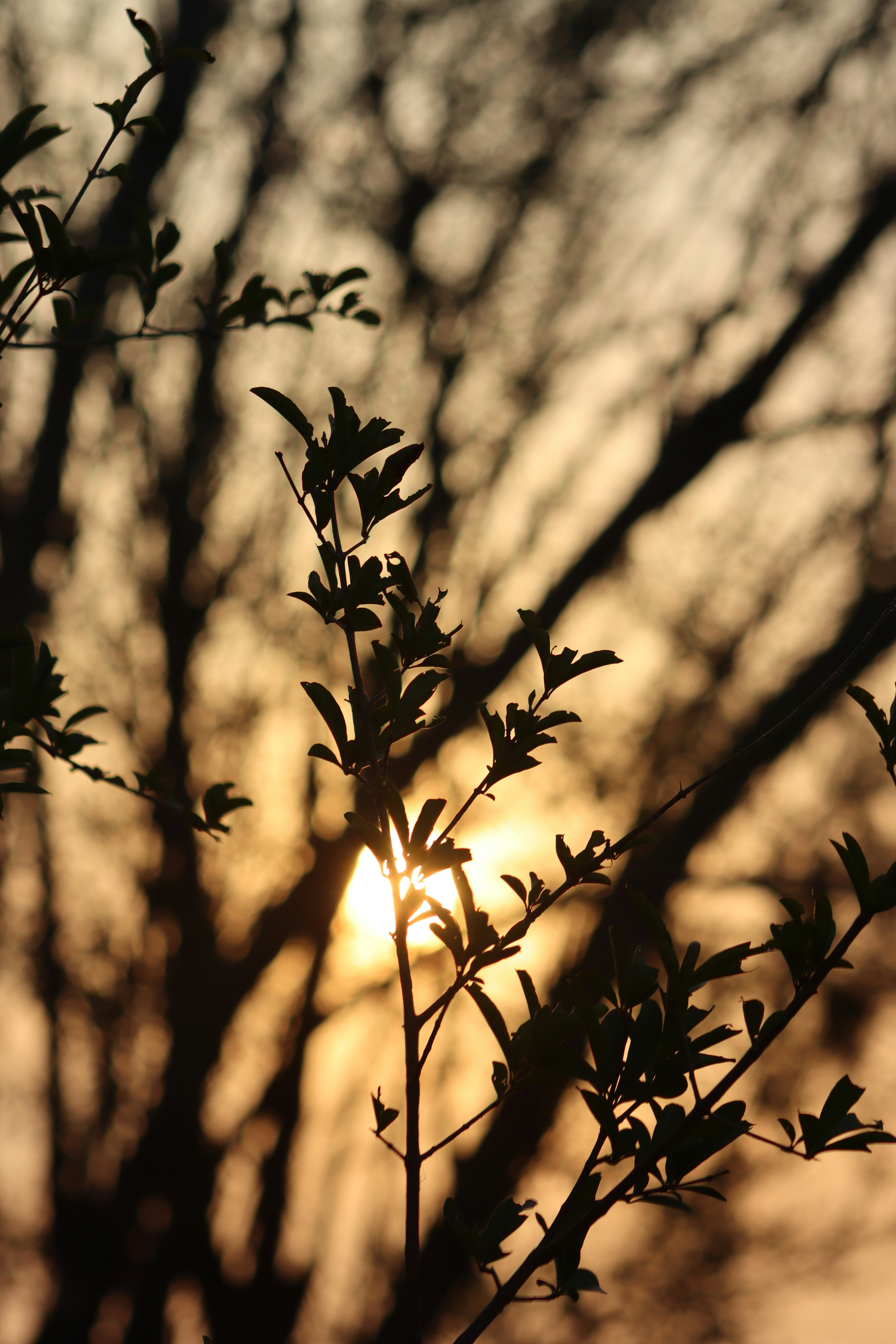 Photo by drphotographer152