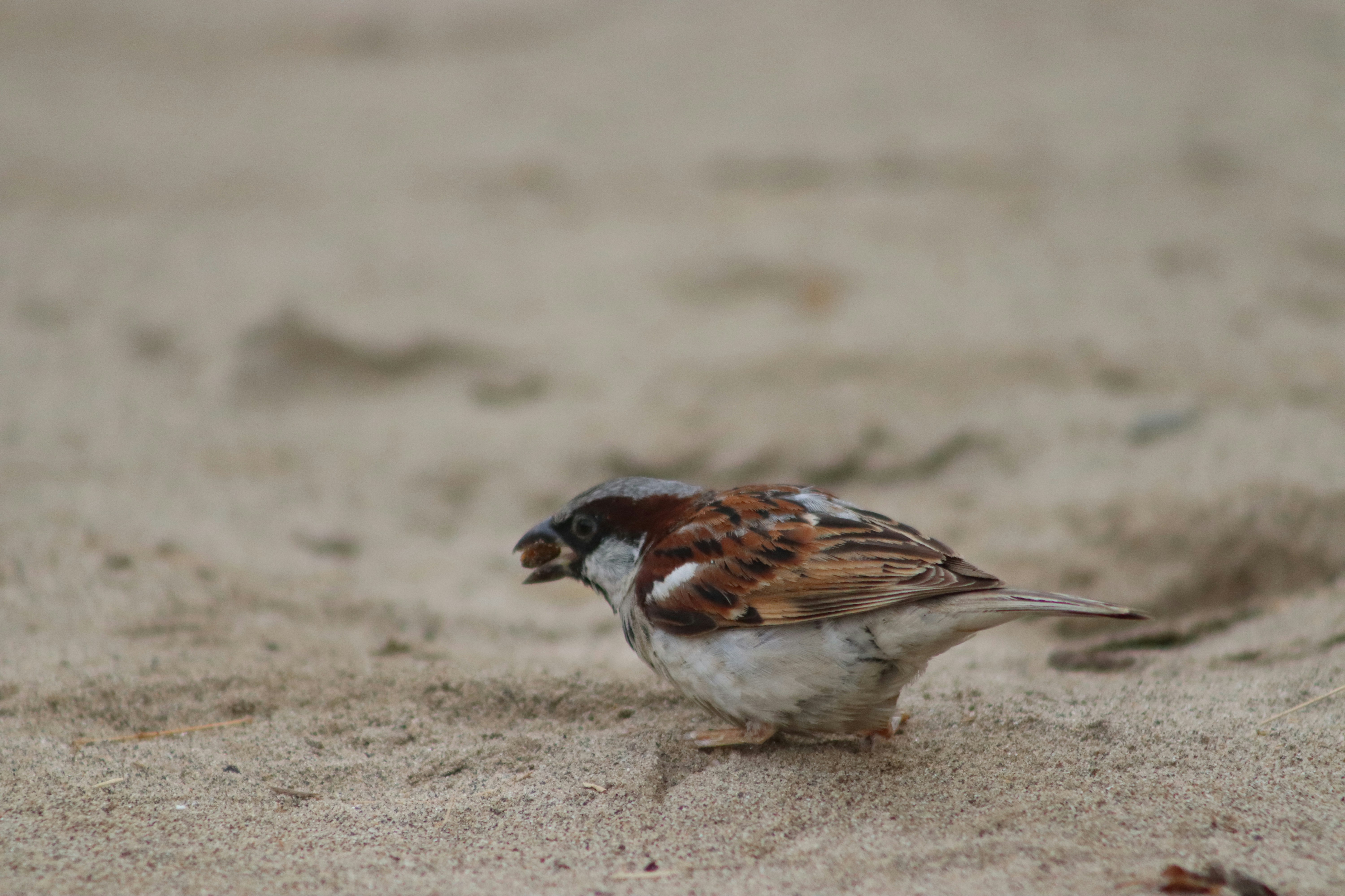 Photo by drphotographer152