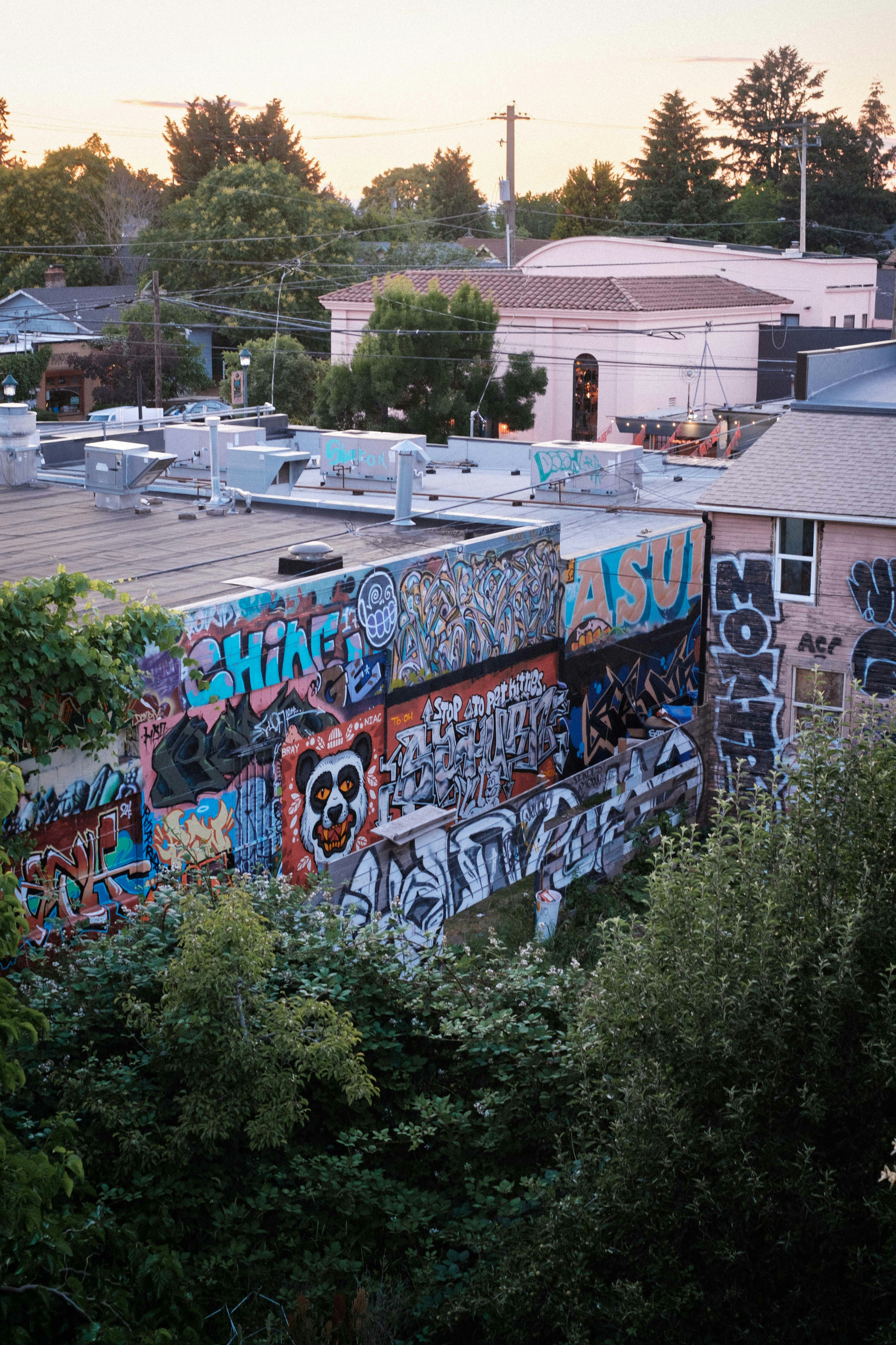 Photo by timmcerston