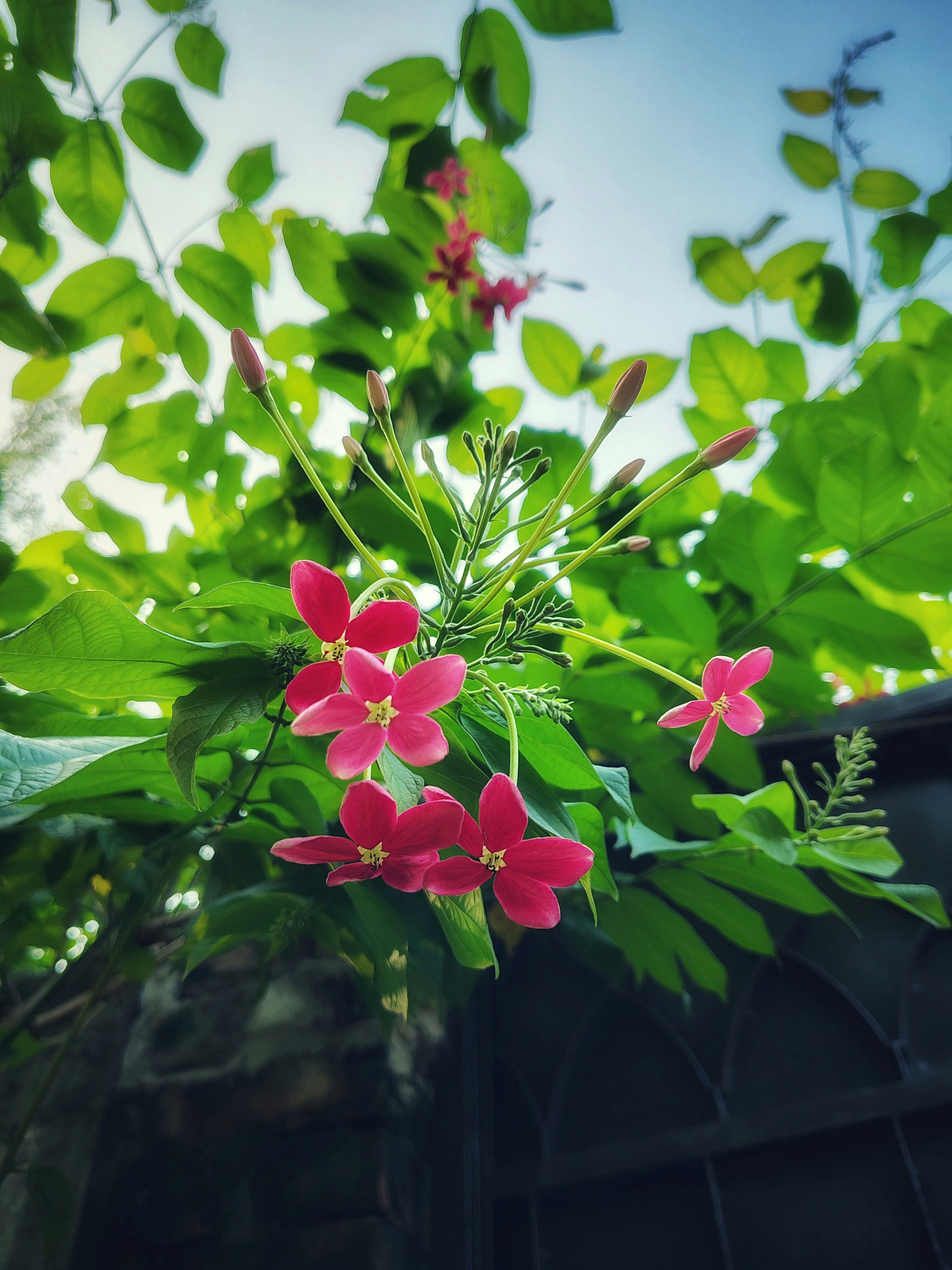 Photo by masum632