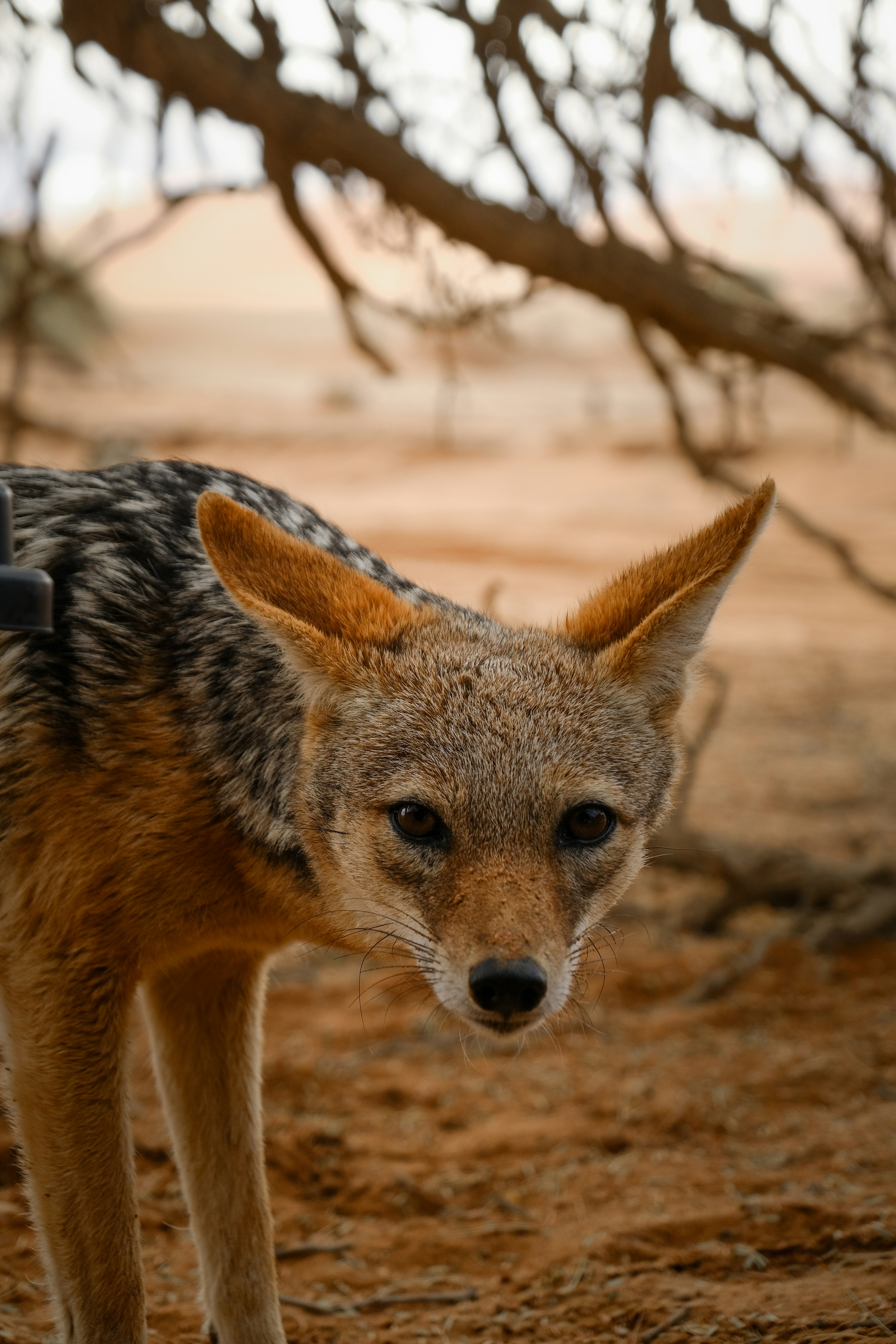 Photo by francesco_ungaro