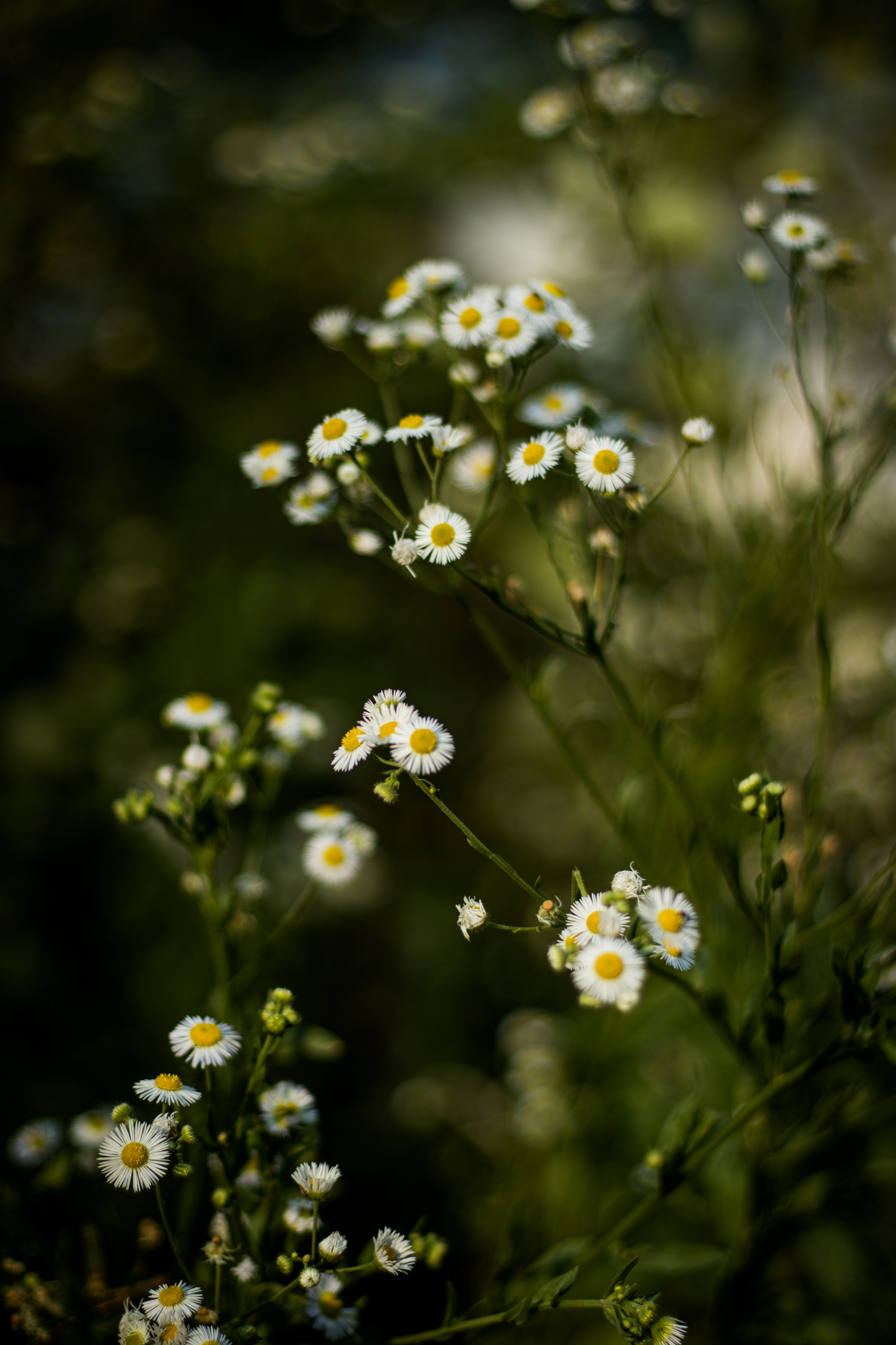 Photo by akshat_jhingran