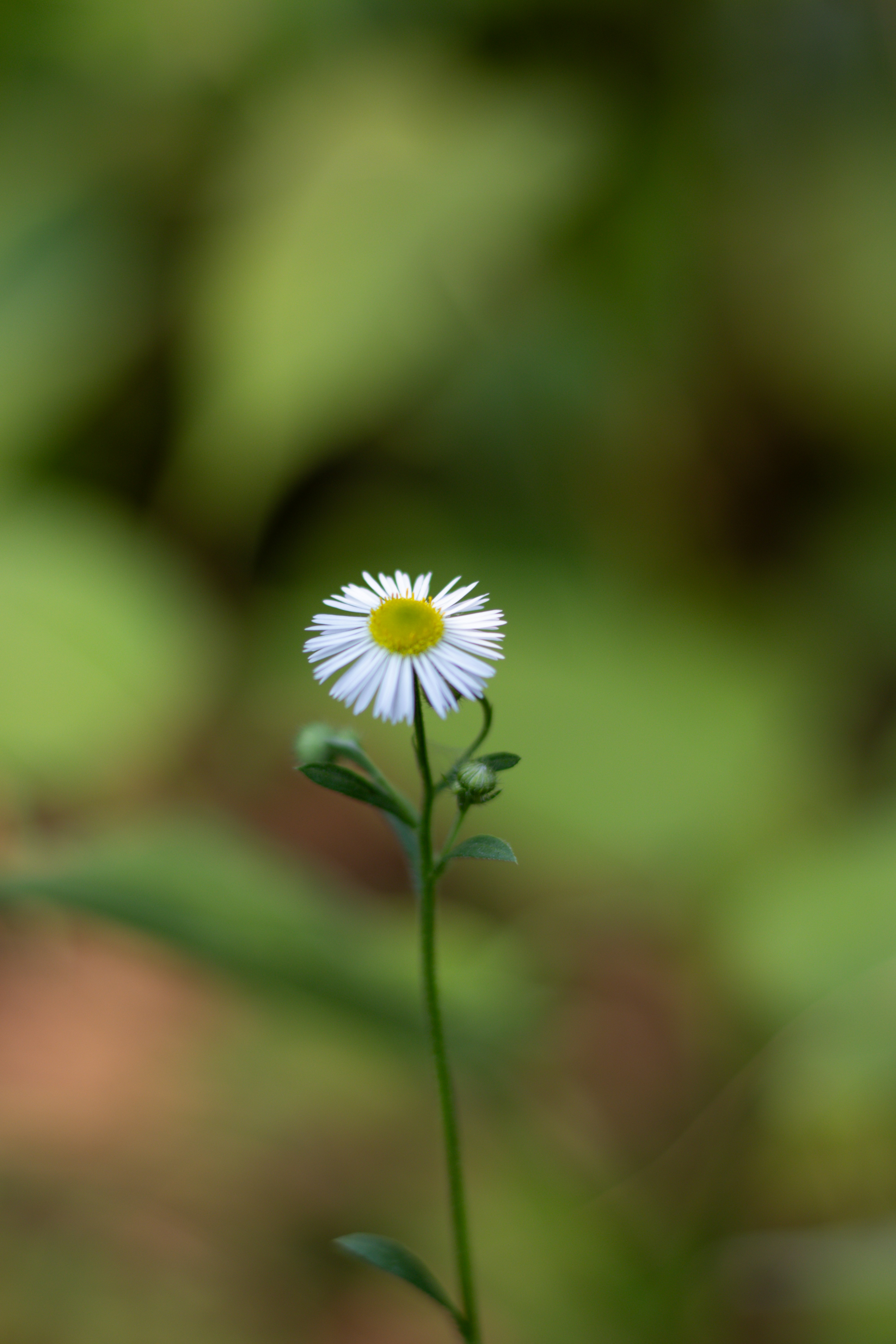 Photo by akshat_jhingran