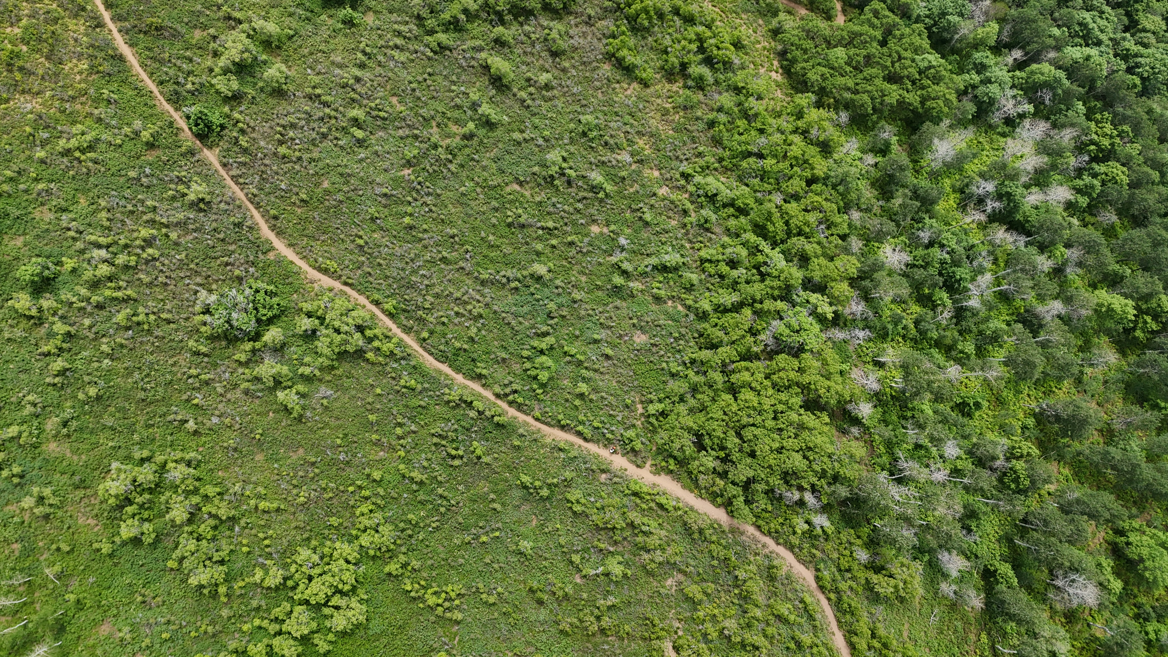 Photo by alexmoliski